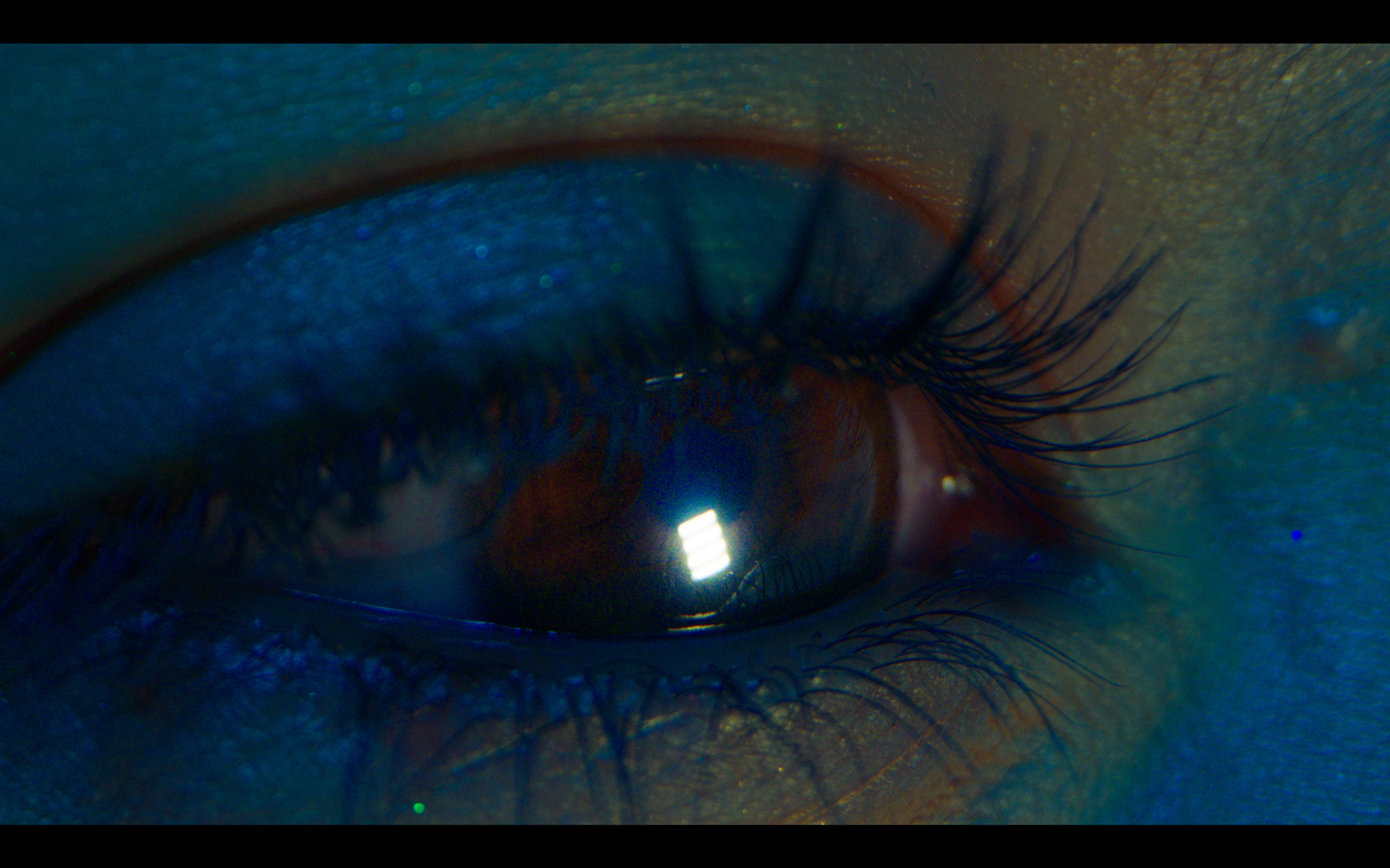 Synesthesia