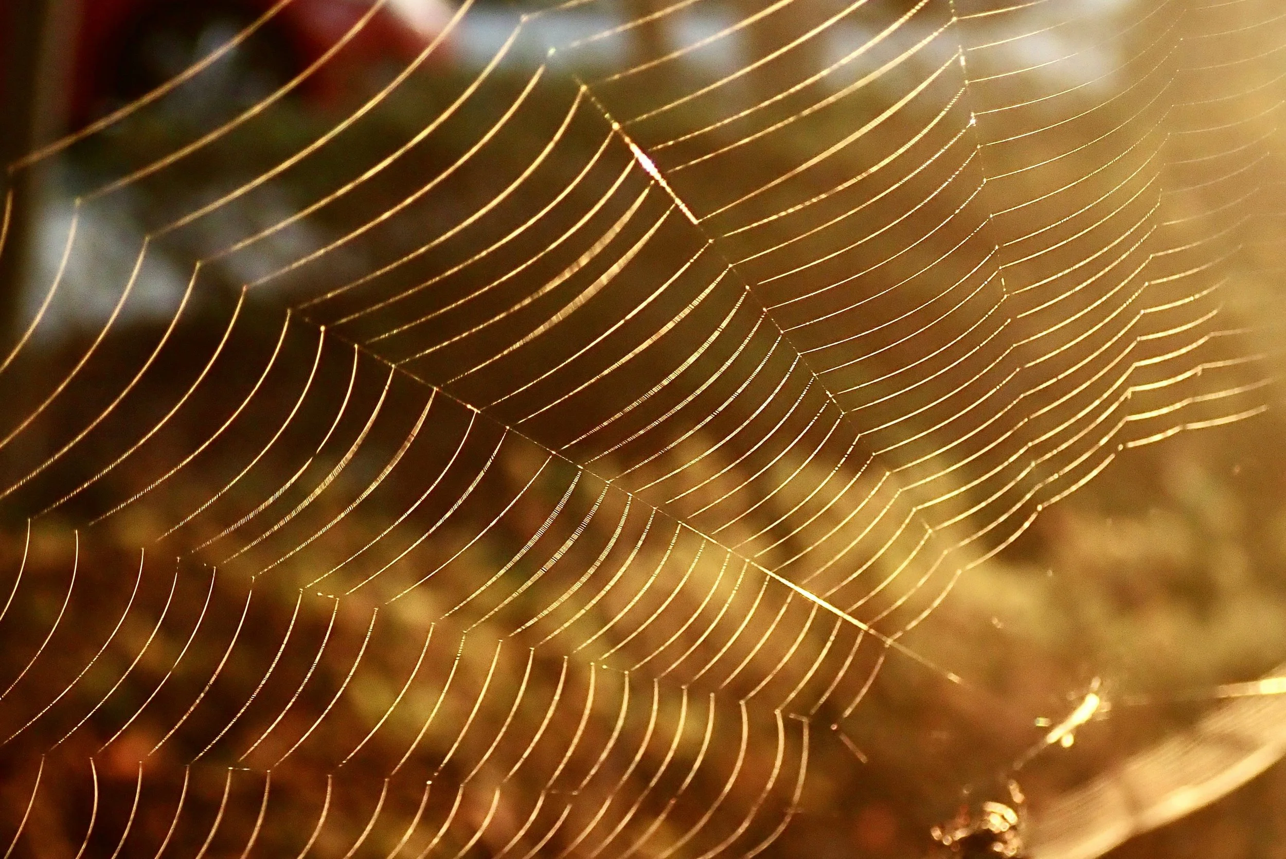 Perceiving Your Aura Meditation