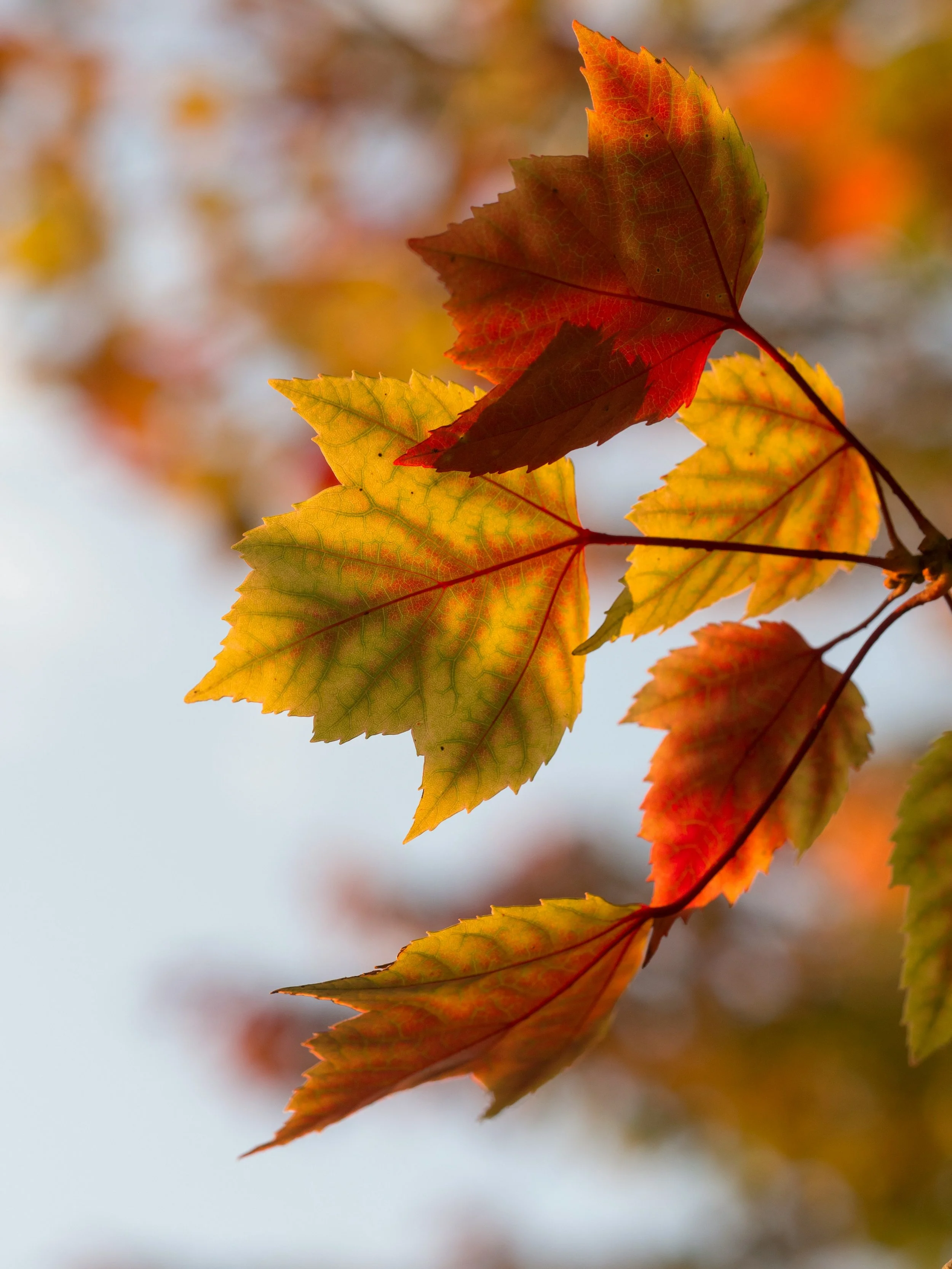 Accessing Change and Steadiness Within You