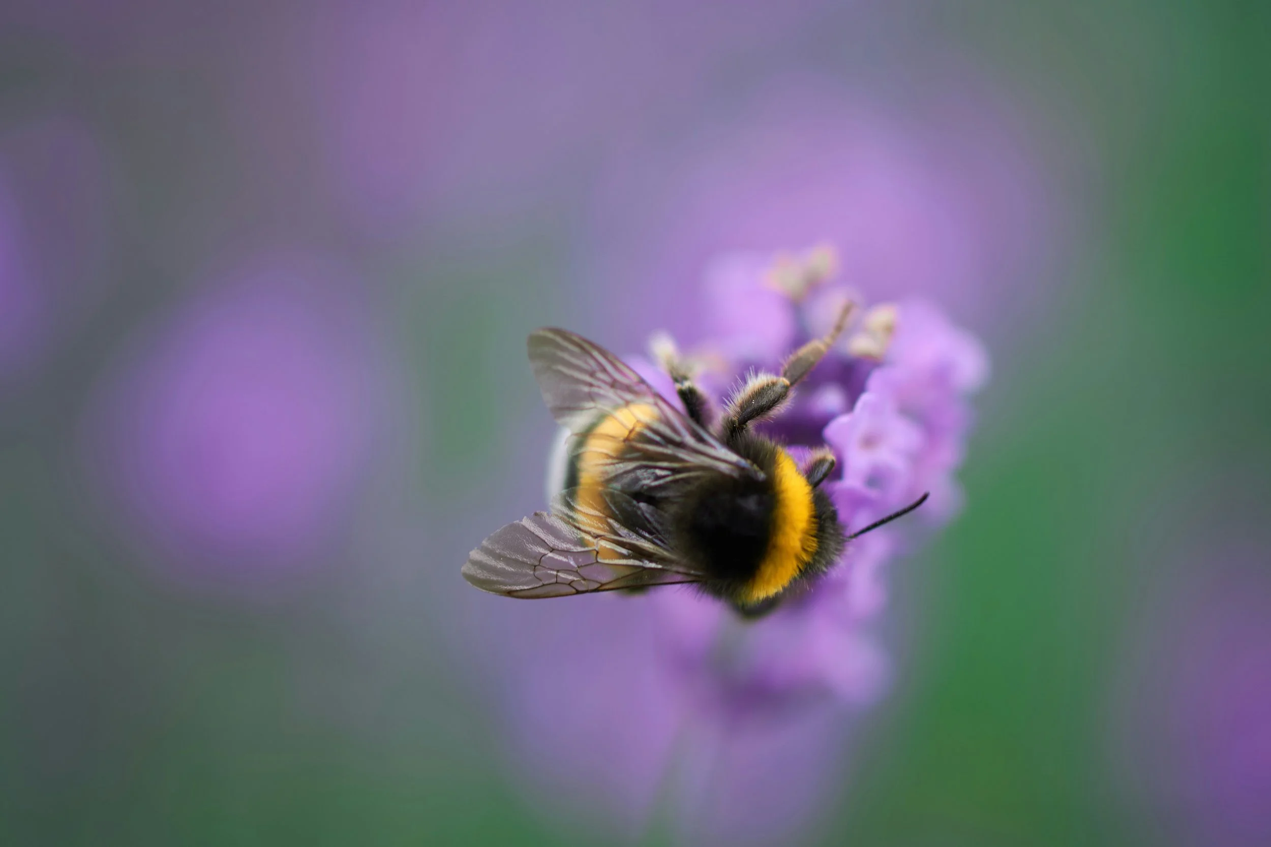 3 Relaxing Breath Patterns Meditation
