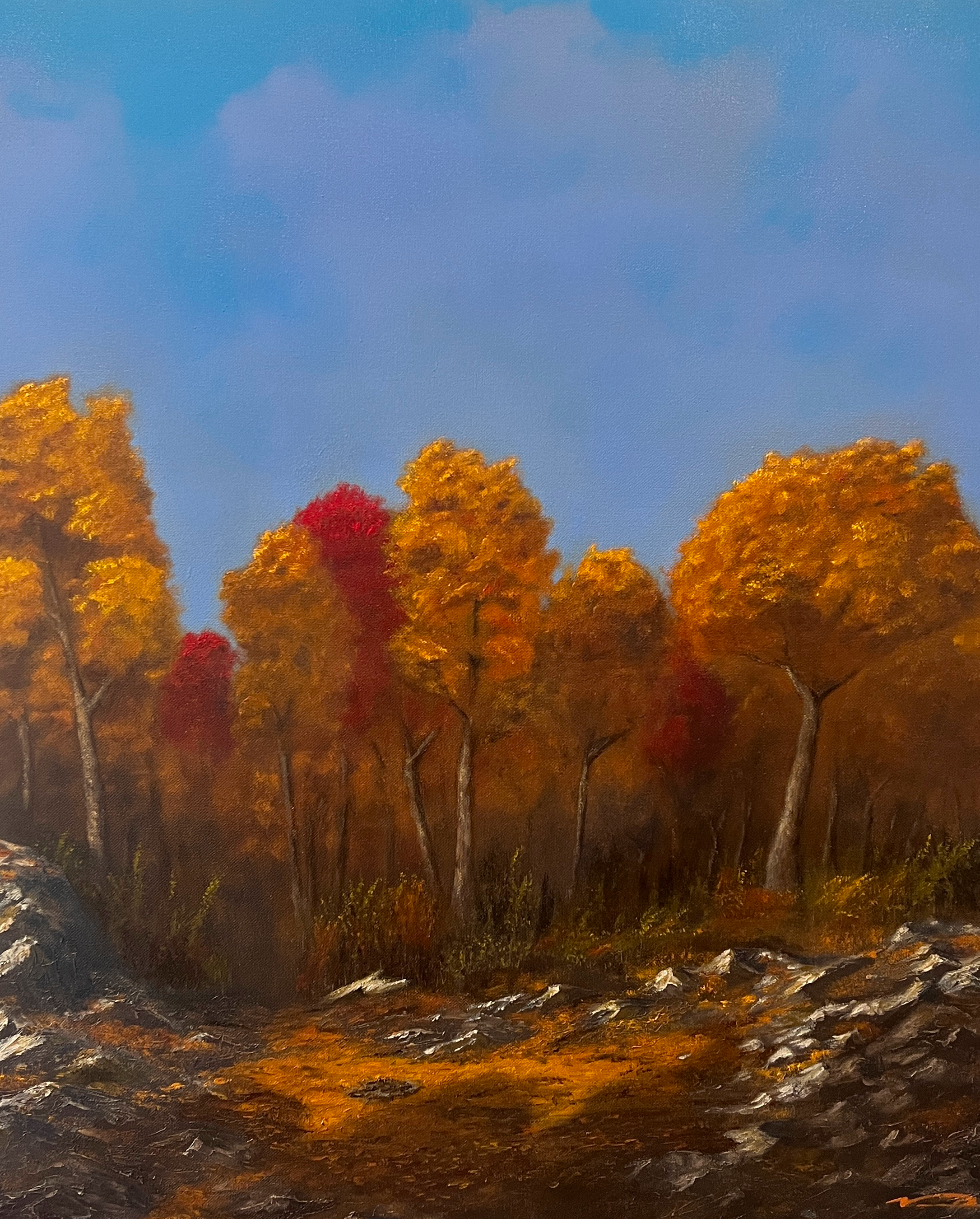 autumn clearing.png