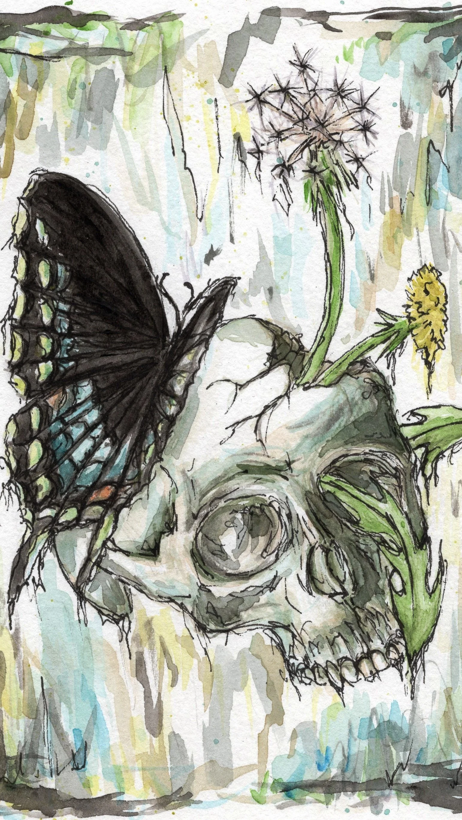 transformation phone background.jpg