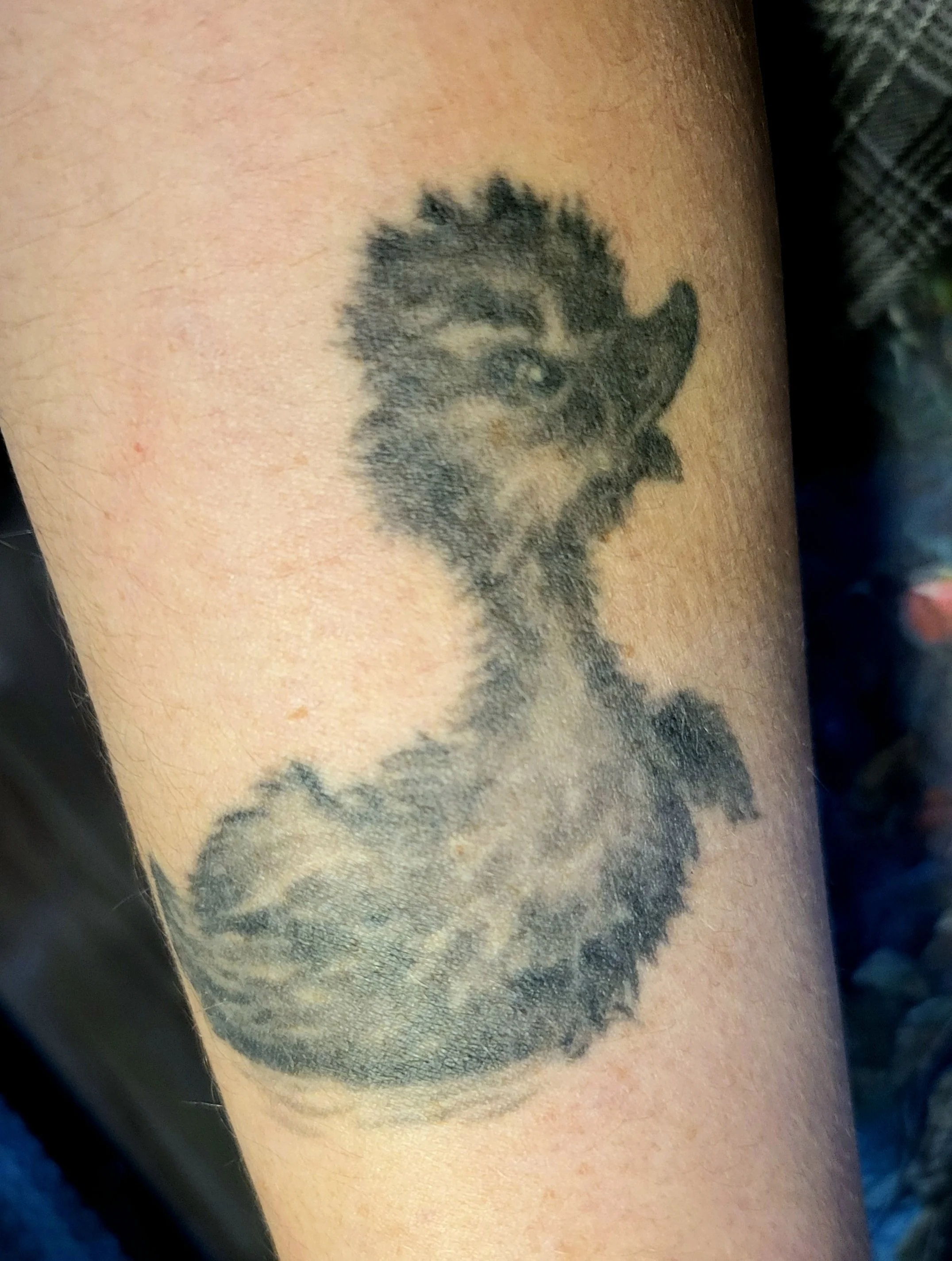 Piercings and Tattoos? 