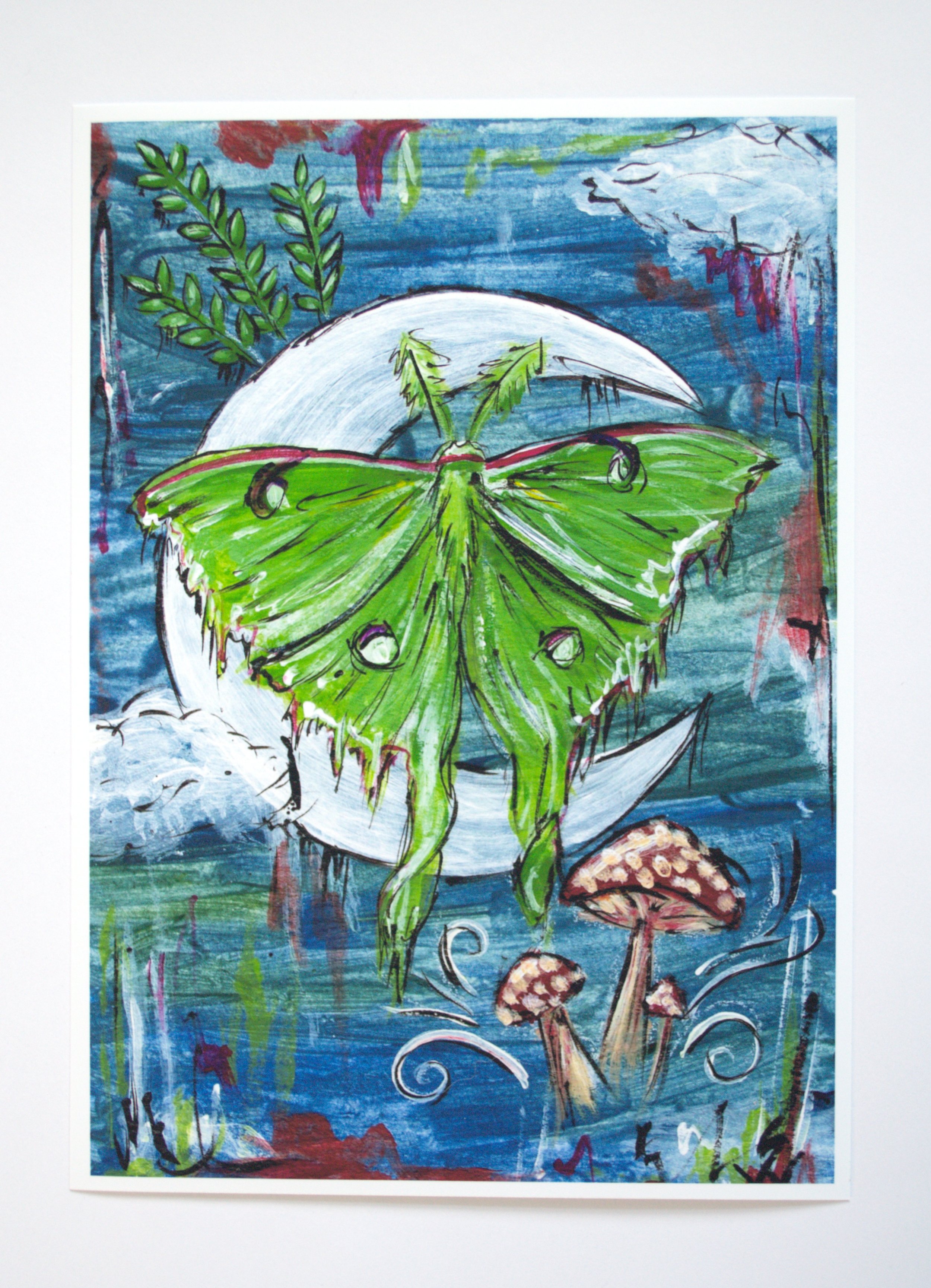 luna moth4.jpg