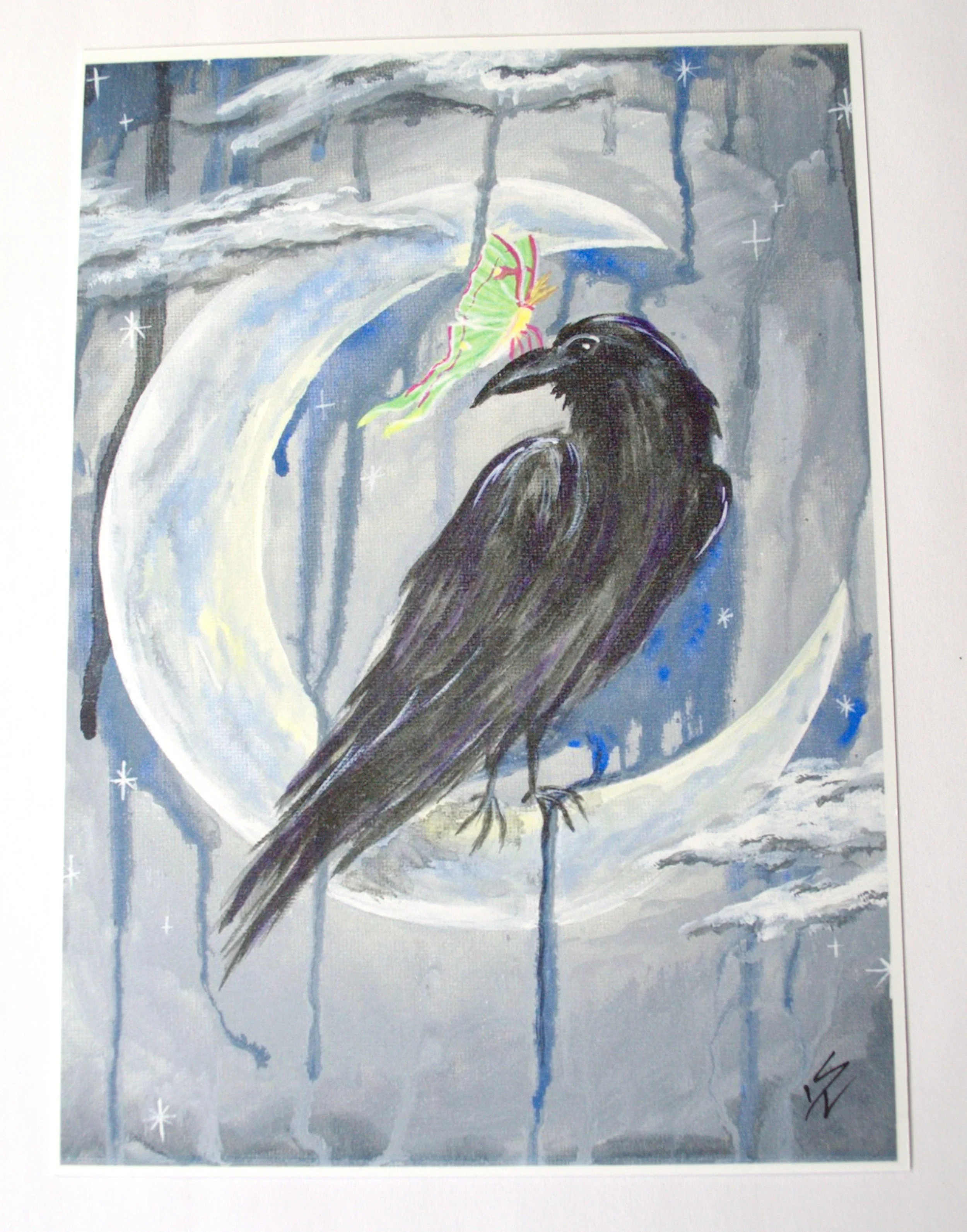 Raven and luna moth2.jpg