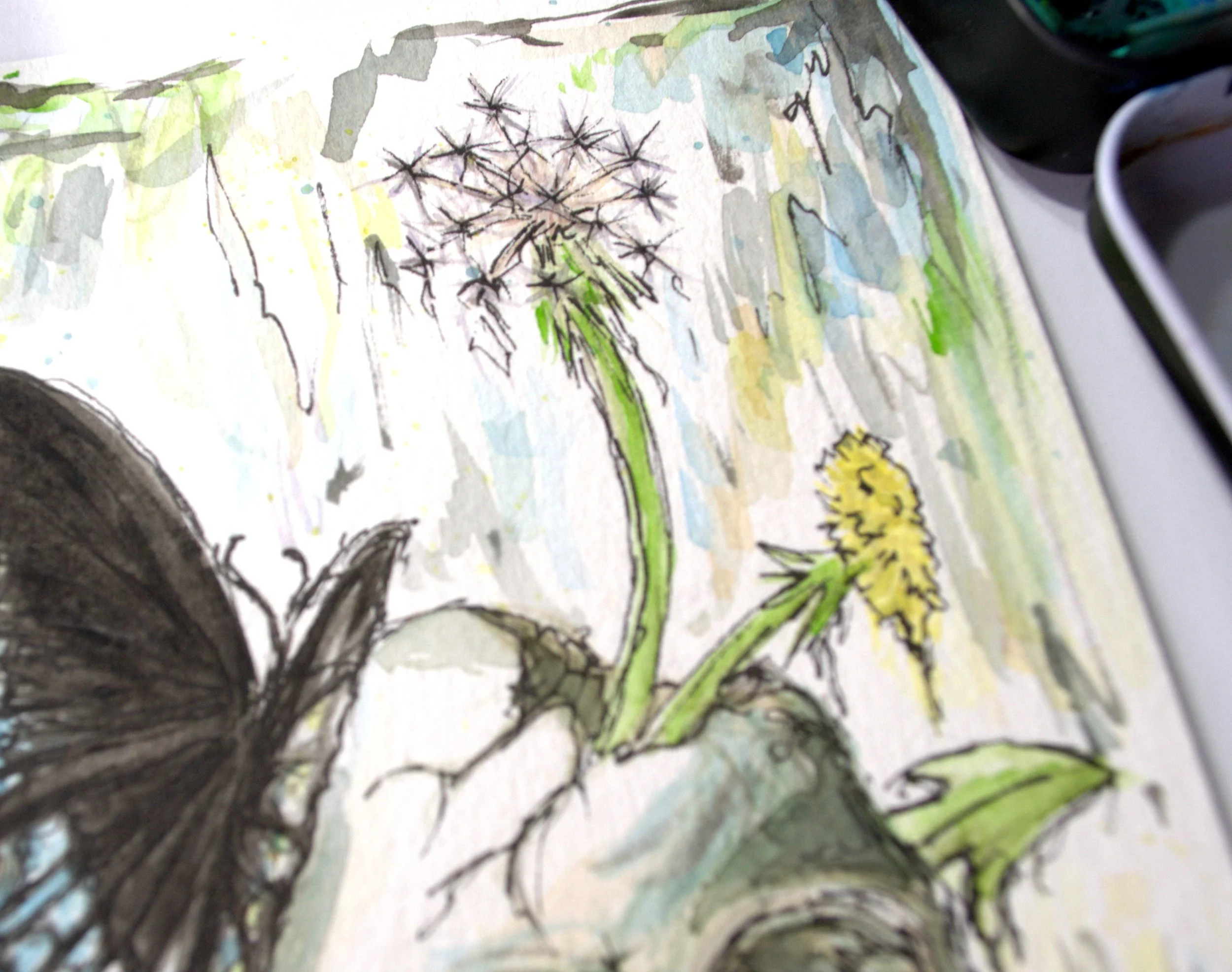 Transformation og2.jpg