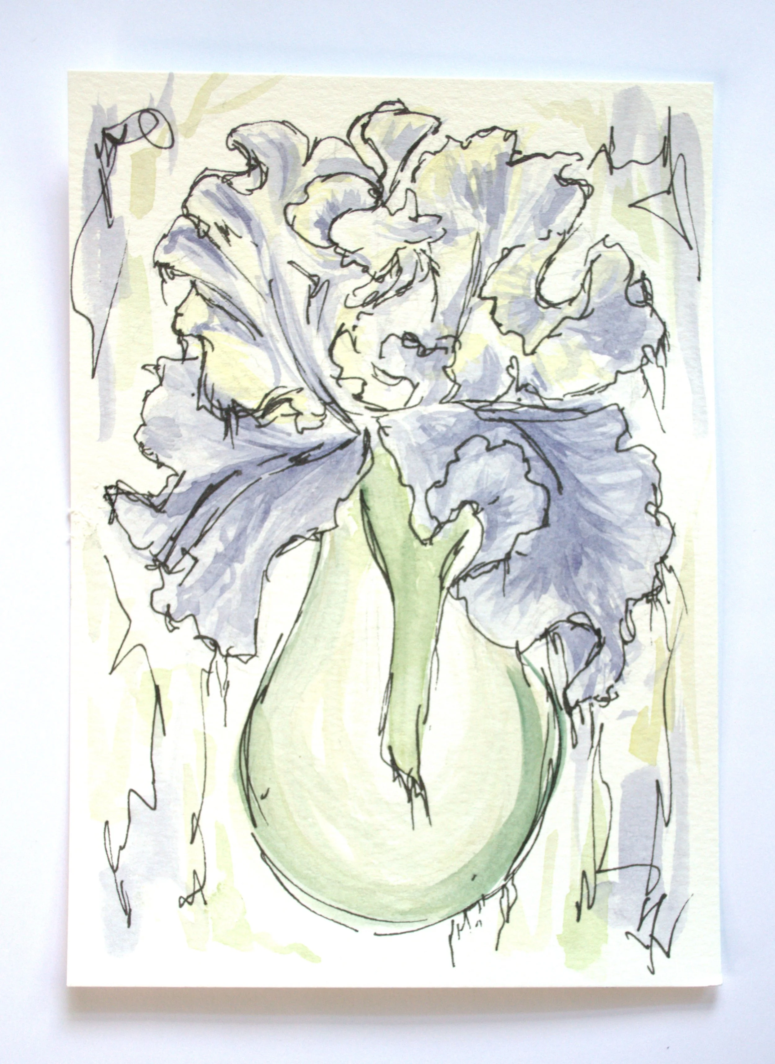 Iris3.jpg