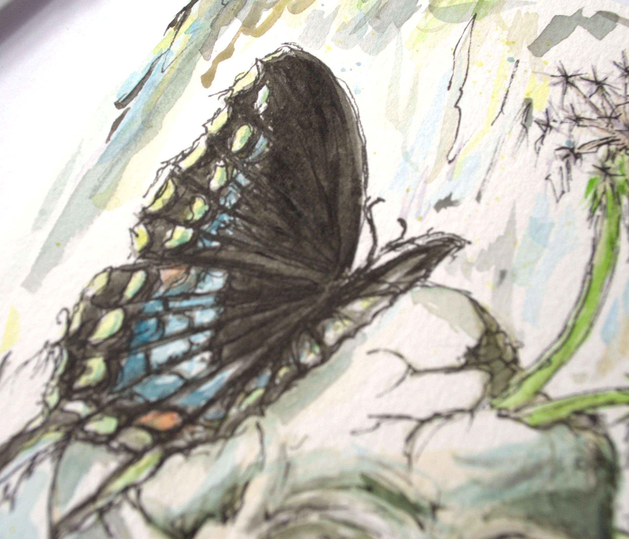 Transformation og1.jpg