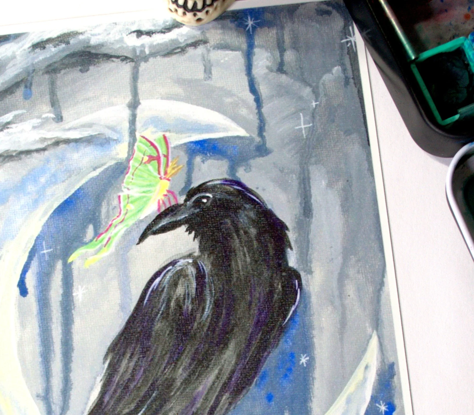 Raven and luna moth1.jpg