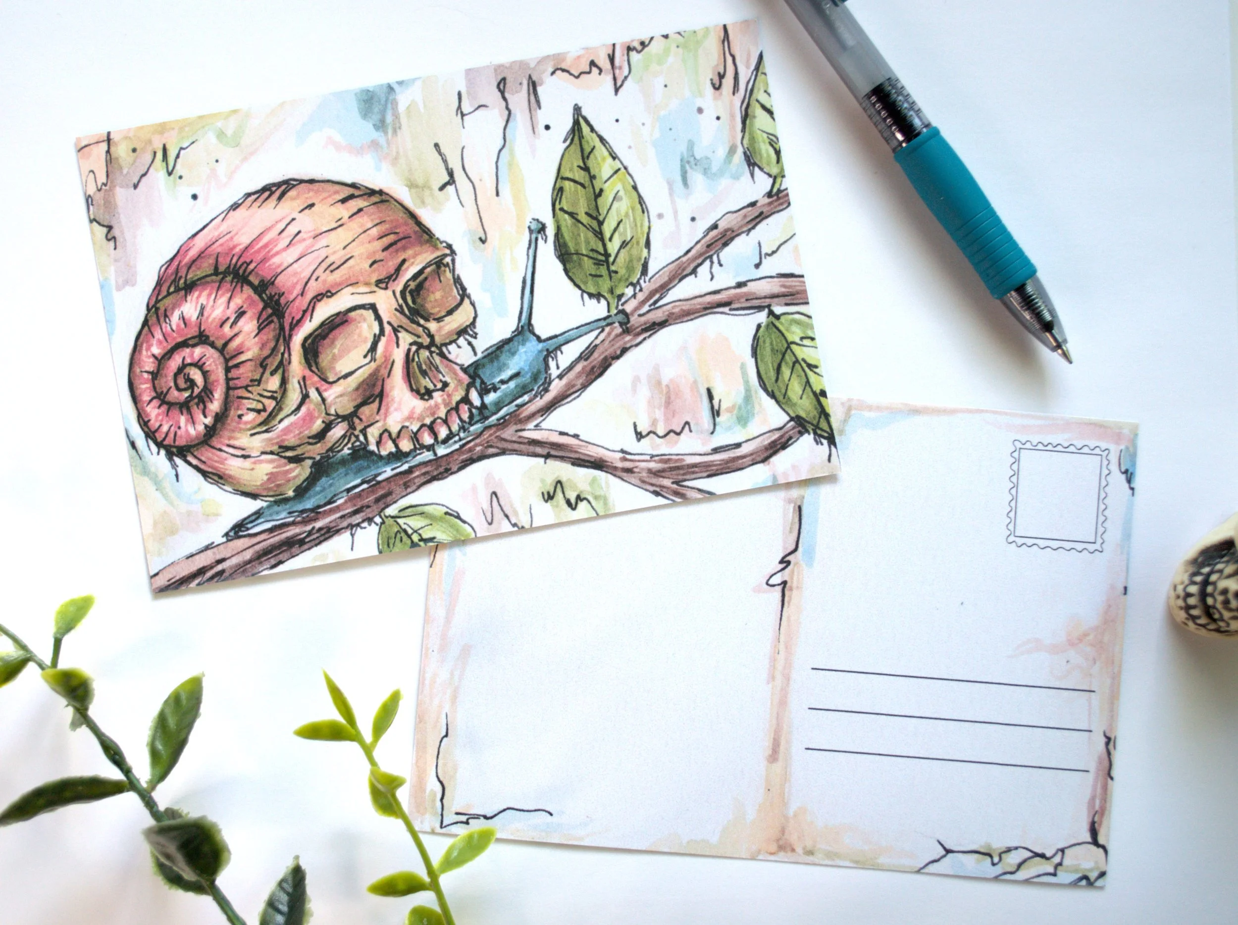 Patience in Death - Skull Snail Postcard