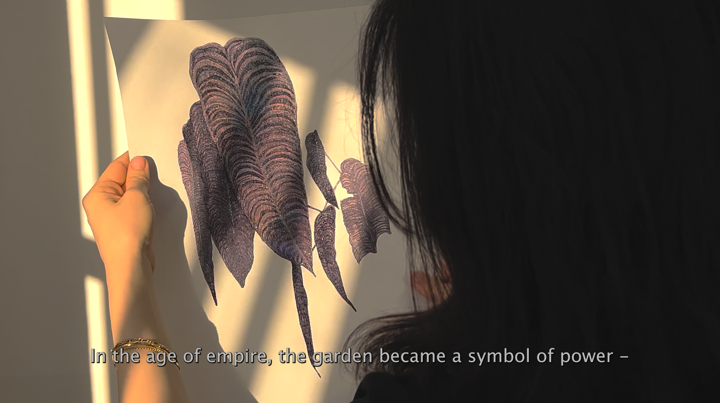 Person holding a botanical print of purple and pink leaves, with sunlight casting shadows on a white wall.