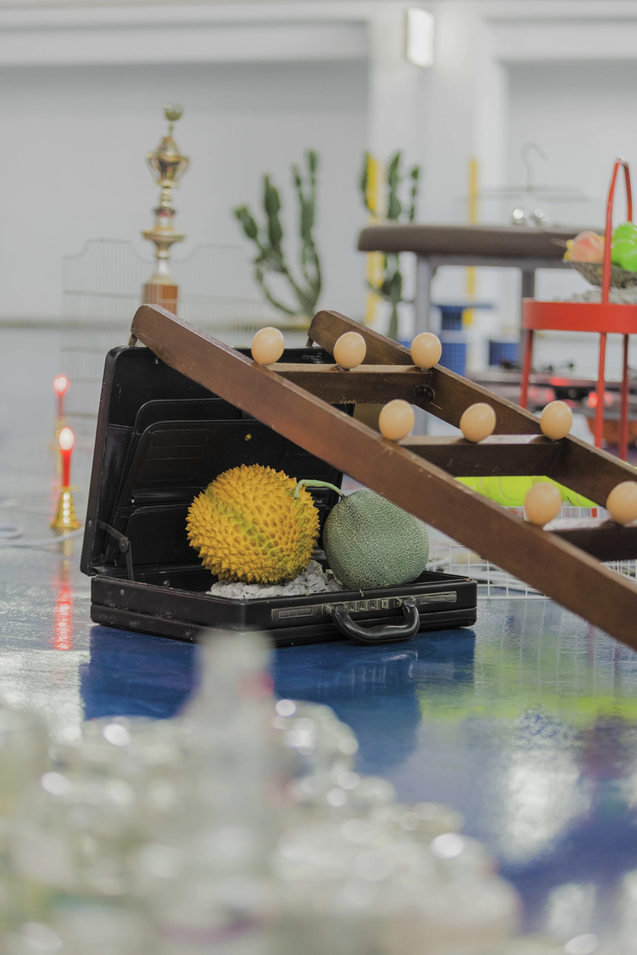 A black case with two durian fruits inside, positioned on a shiny surface. The background includes a cactus plant, a trophy, and some shelves with various objects.