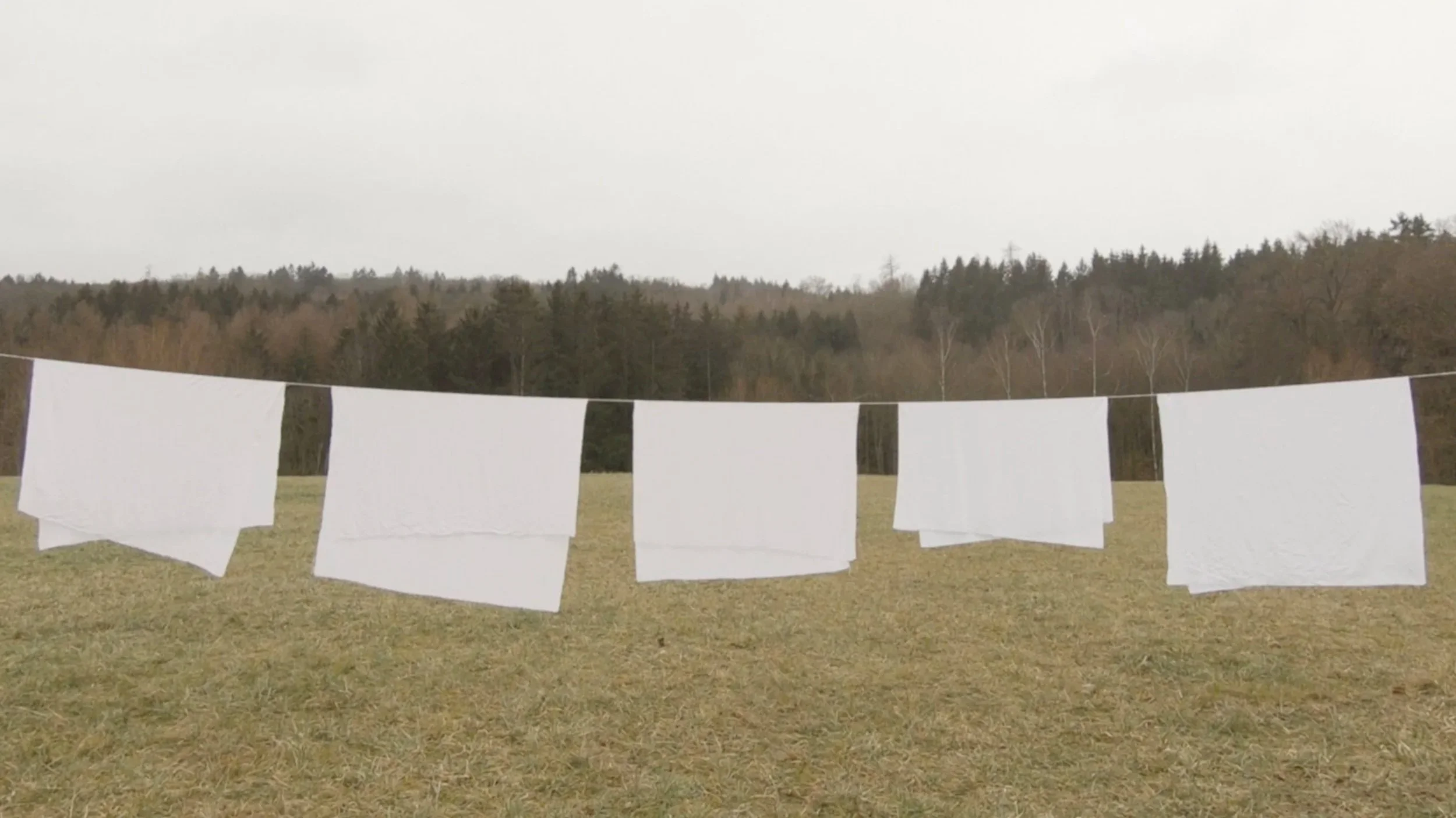 White sheets of paper hanging on a clothesline in an open grassy field with trees in the background under an overcast sky.