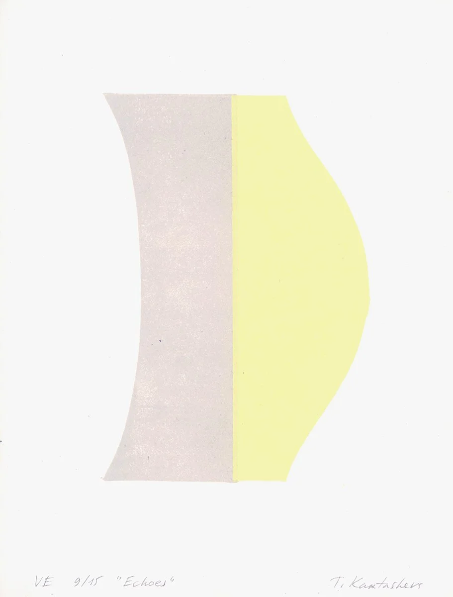 Abstract artwork with curved shapes in pale pink and yellow on white background, titled 'Echoes'.