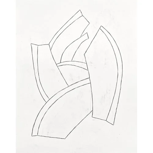 — Planetary Garden II,  2023 pencil on paper