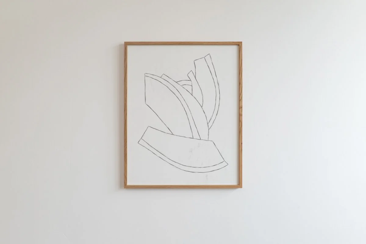 Graphite Darwing, closeup. By Tetiana Kartasheva, Switzerland based artist.