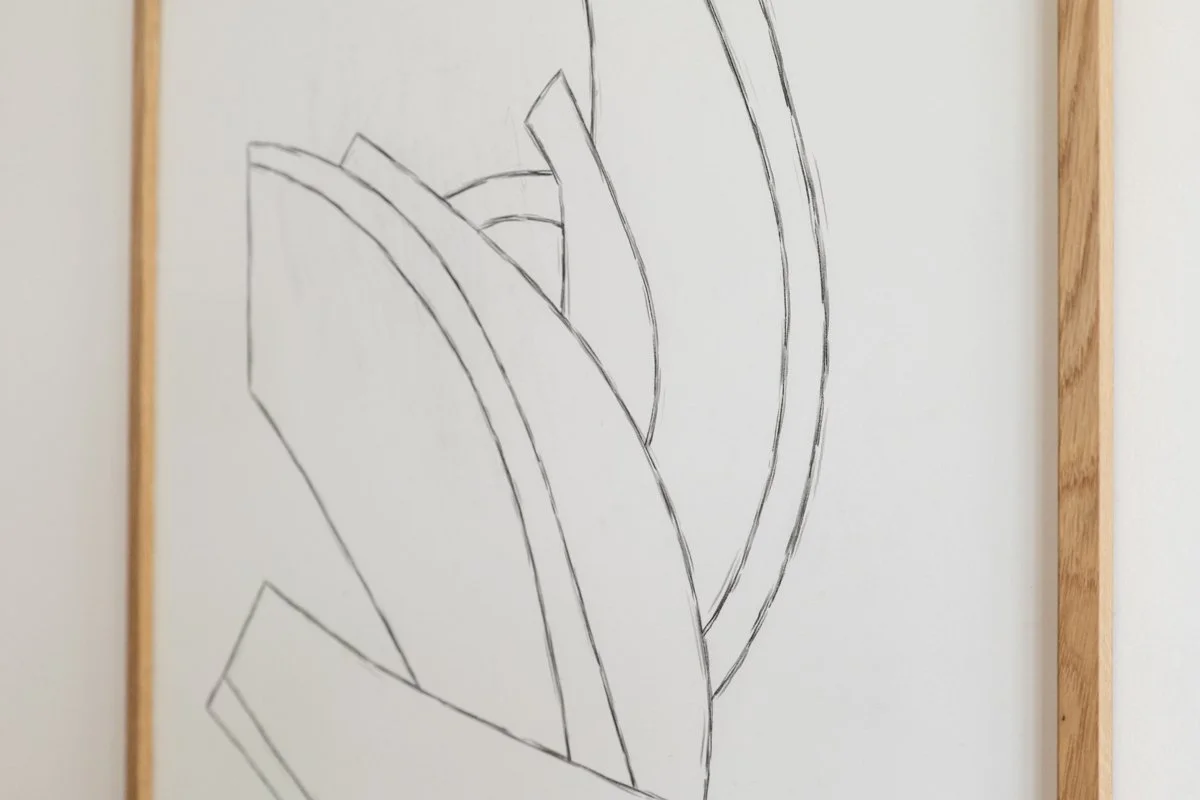 Graphite Darwing, closeup. By Tetiana Kartasheva, Switzerland based artist.