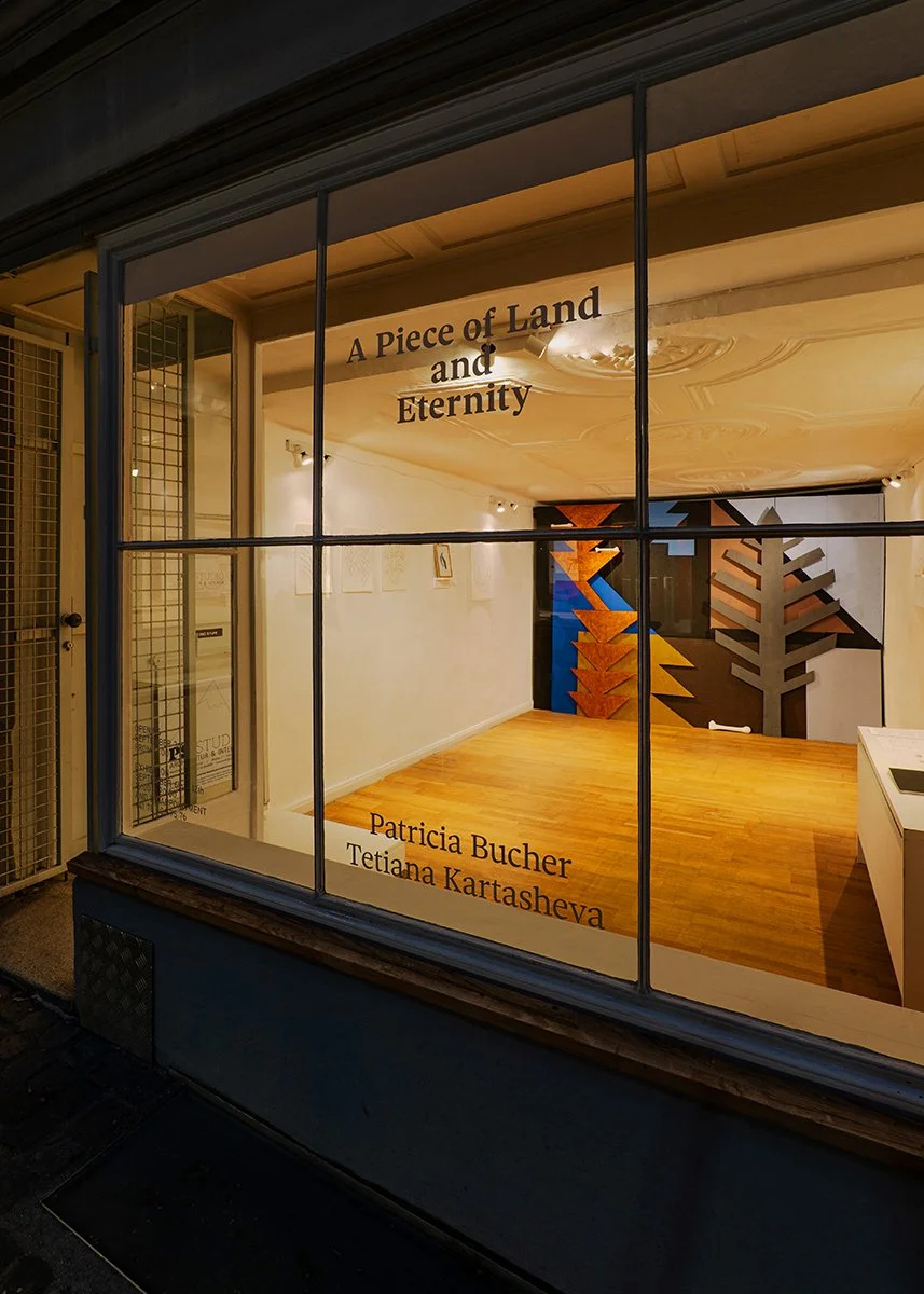 Gallery window display with a sign that reads "A Piece of Land and Eternity" by Patricia Bucher and Tetiana Kartasheva, showcasing an interior space with wall art installation of stylized trees, and numerous graphic artworks in a historical setting.