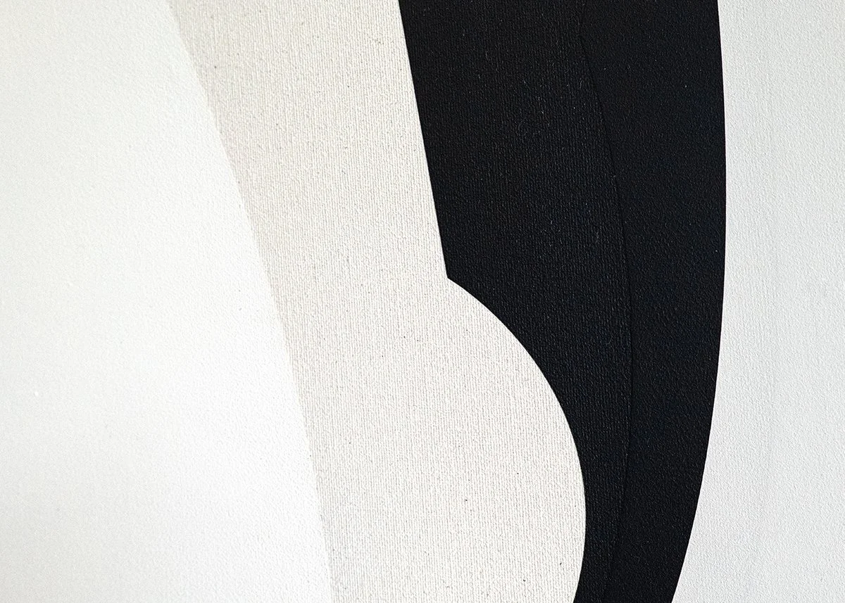 Close-up of a black and white abstract artwork with smooth curves and textured surface.