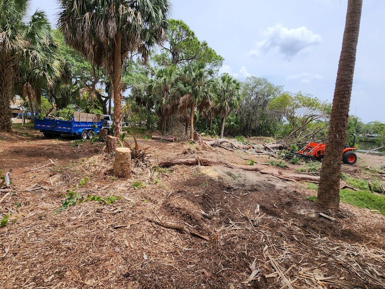 Land clearing project in Citrus County, Florida.