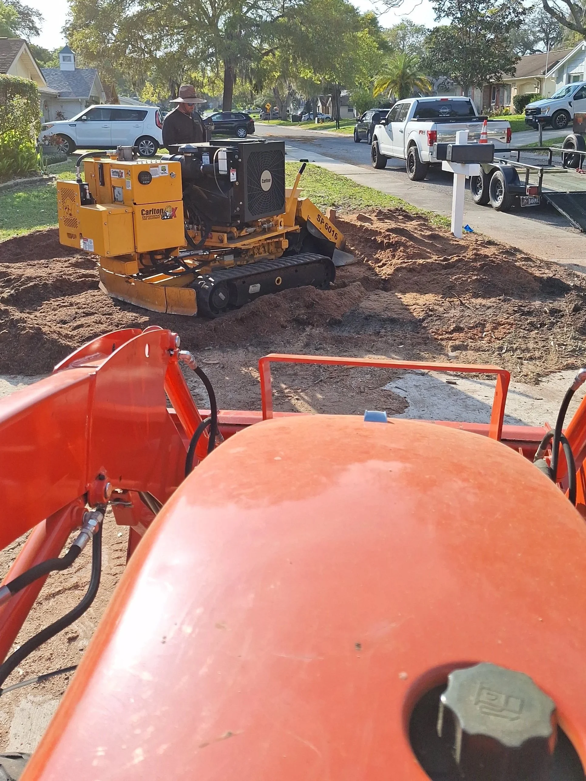 Professional tree service and land clearing in Spring Hill FL by Chuck's Tree Service LLC