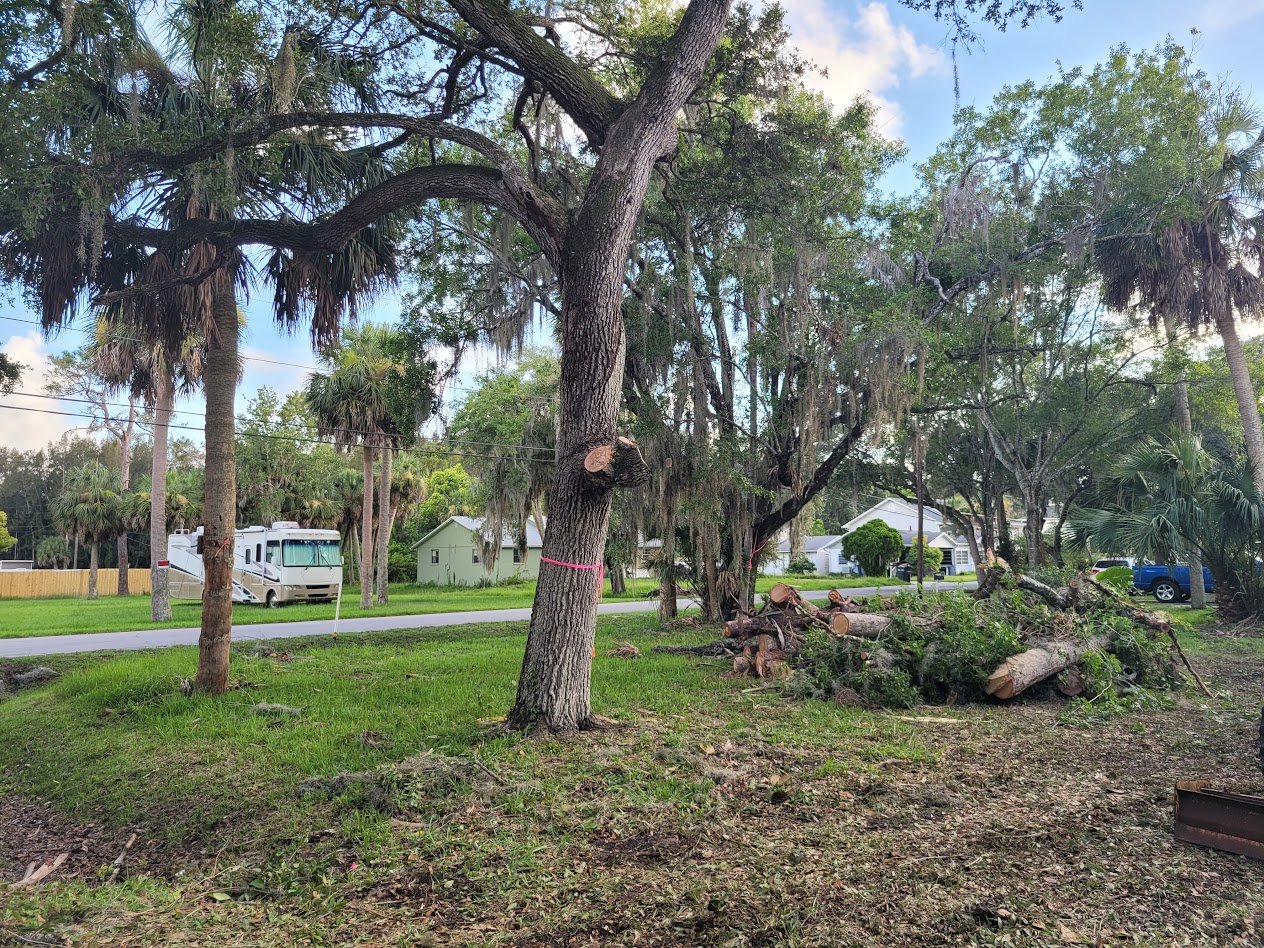 Storm Cleanup in Citrus County, Florida.