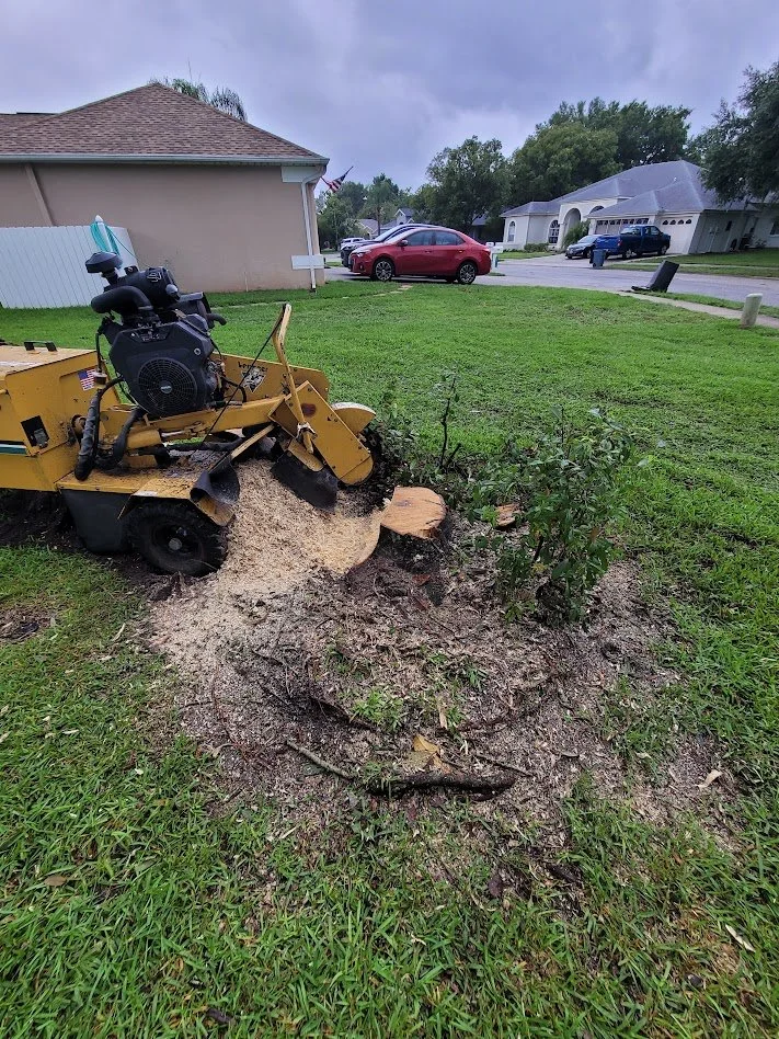 Stump Grinding in Citrus County, Florida.