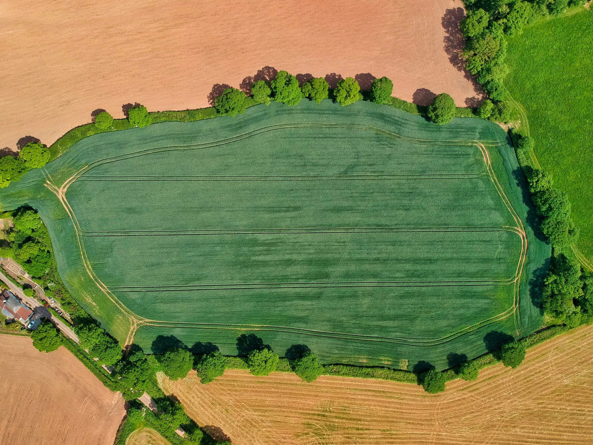 Aerial view of a green sports field or field with trees surrounding it, bordered by farmland and a few buildings.