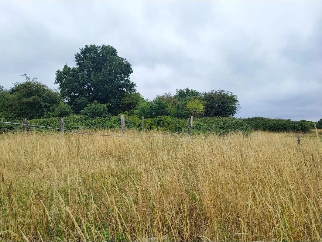 Ecological impact assessment for a strategic residential development in Chalfont St Giles