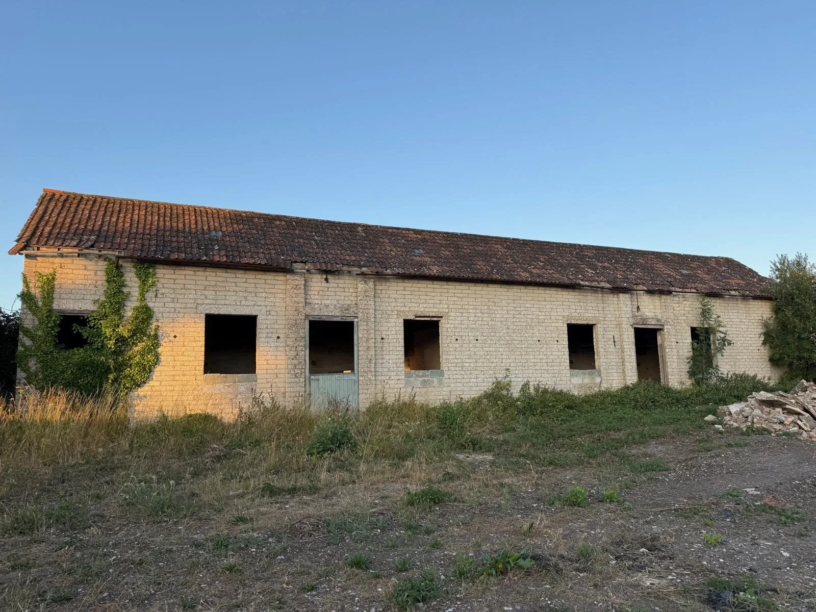 Bat surveys and mitigation design for barn conversion at a private estate in Hampshire