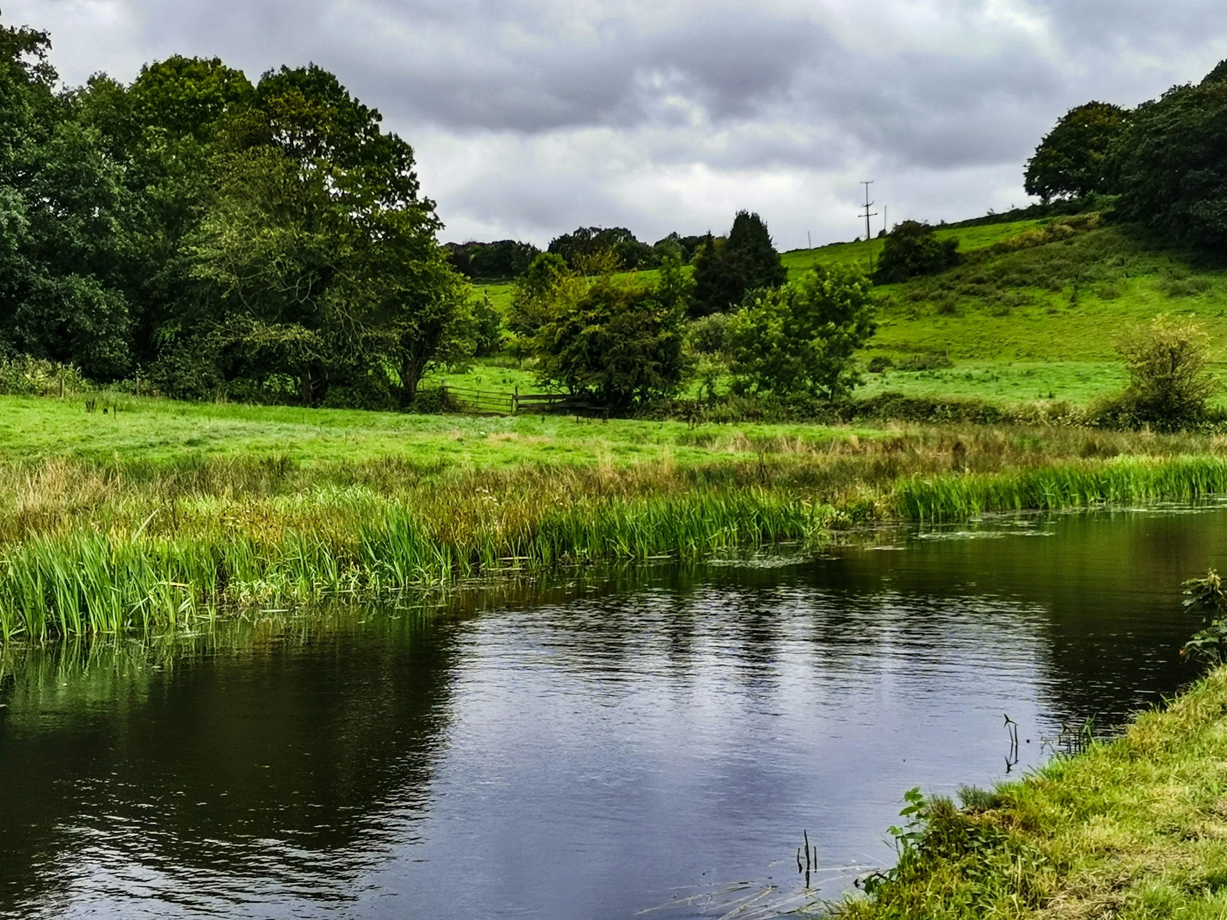 A pond in a field
