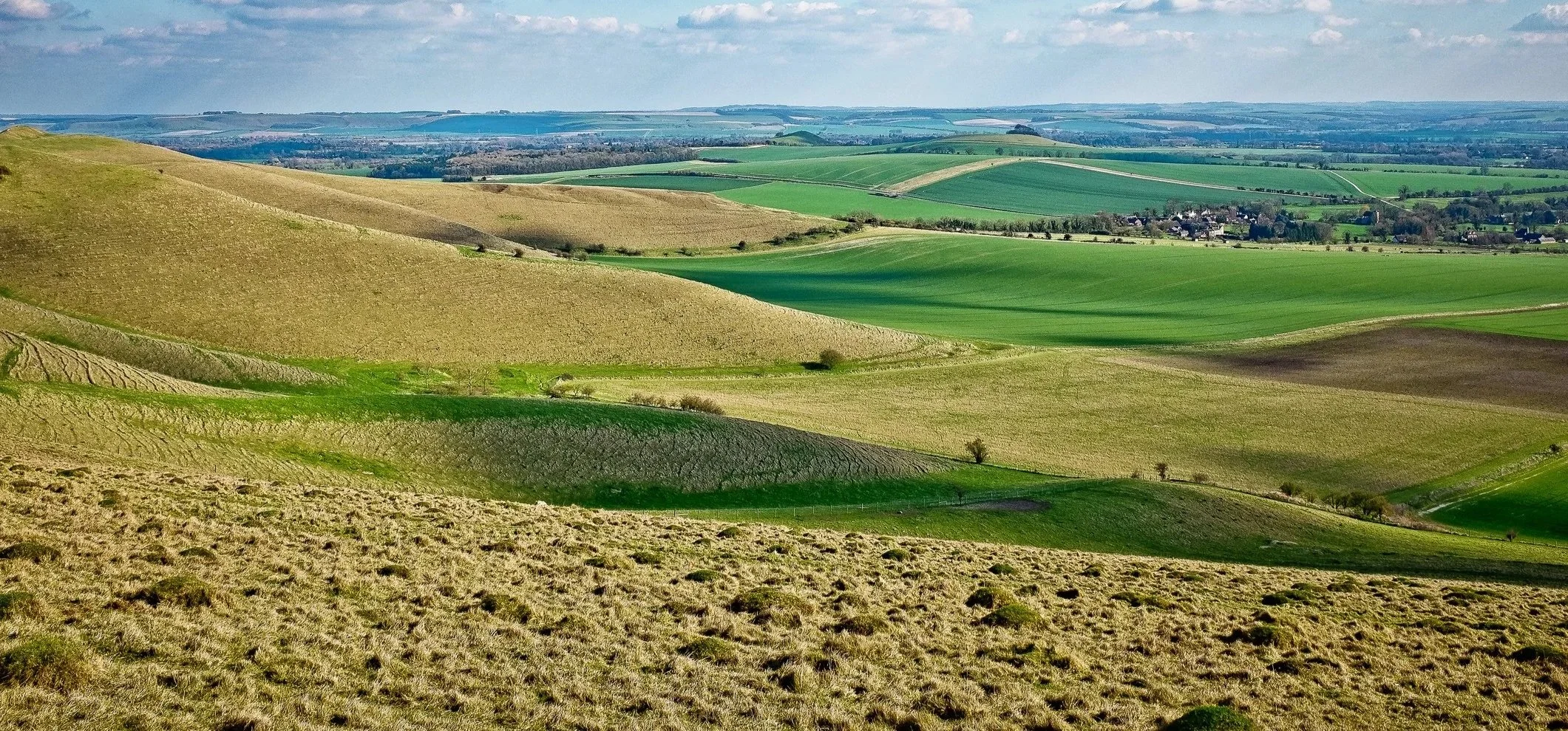 Scenic view of rolling hills and fields in the Wiltshire countryside.
