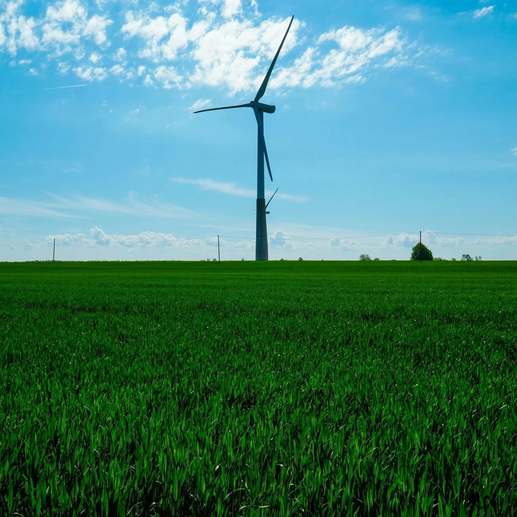Green field with wind turbine.