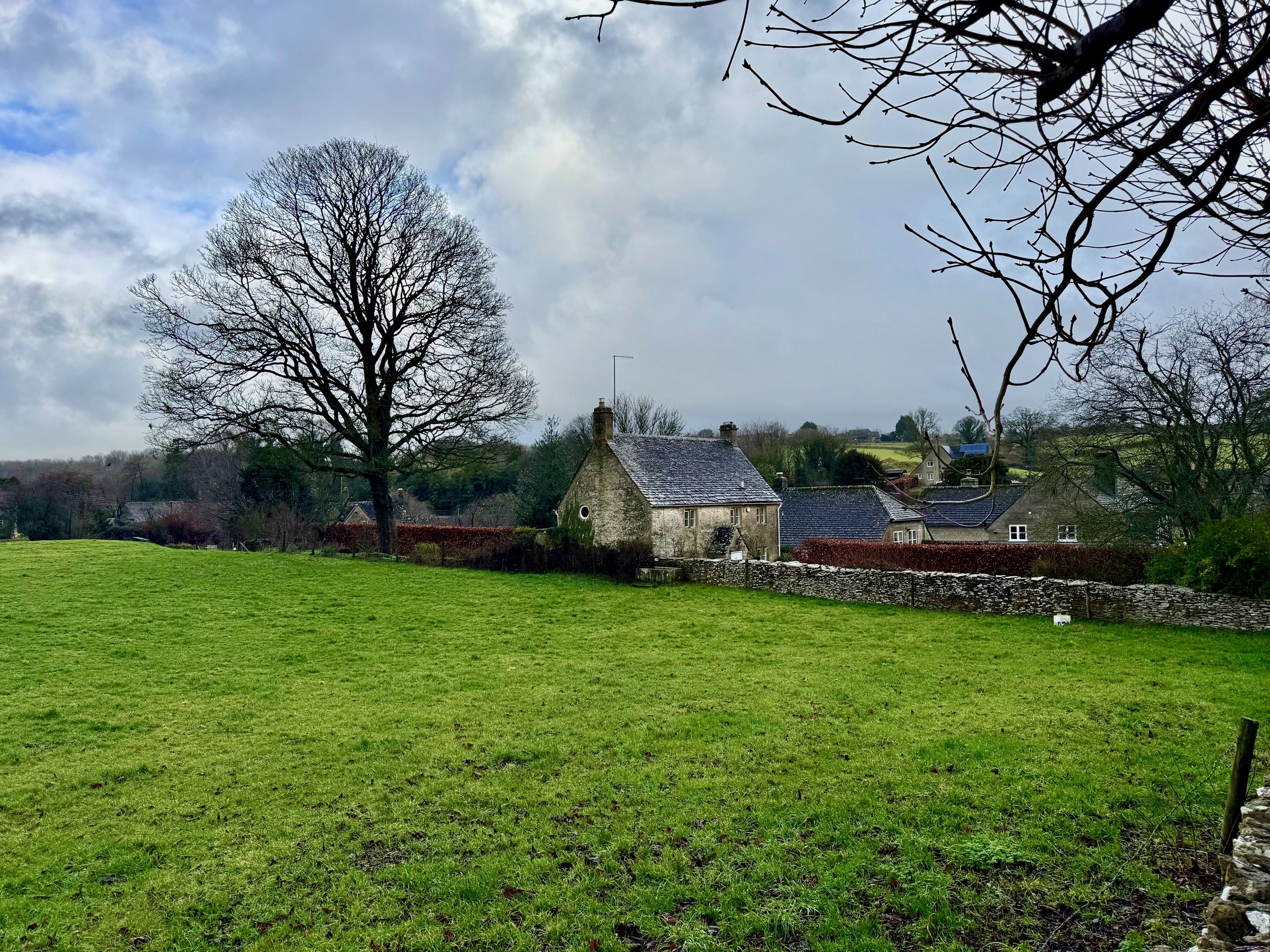 Do I need an ecology survey for my planning application?