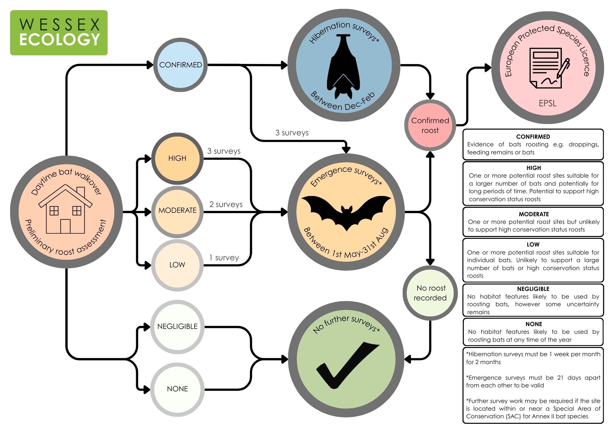 Preliminary roost assessment outcomes