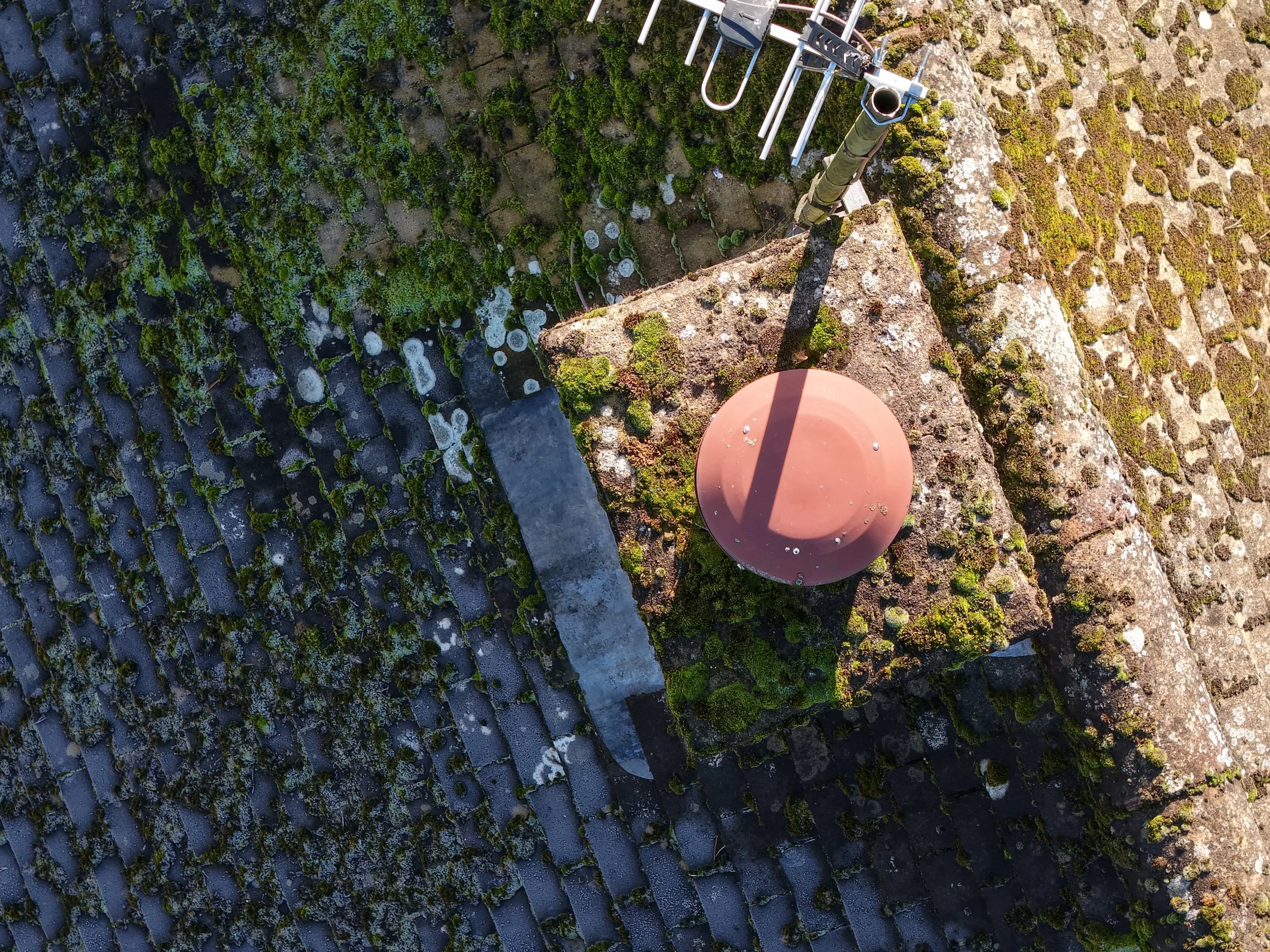 Aerial view of a moss-covered roof with a pink dome-shaped ventilation cap and an antenna mounted on the rooftop captured during a property drone survey inspection.