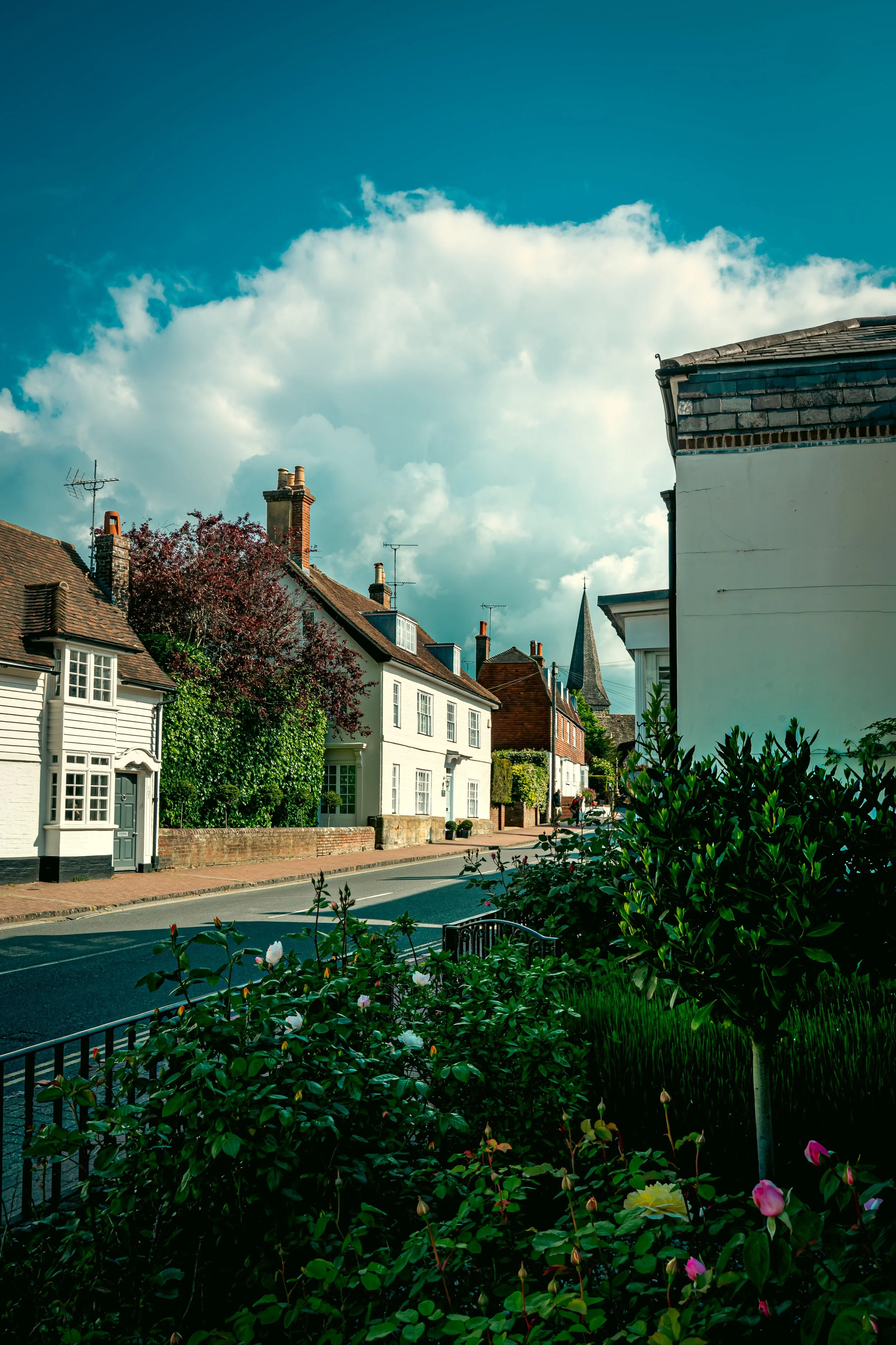 DSC_1049-2.jpg