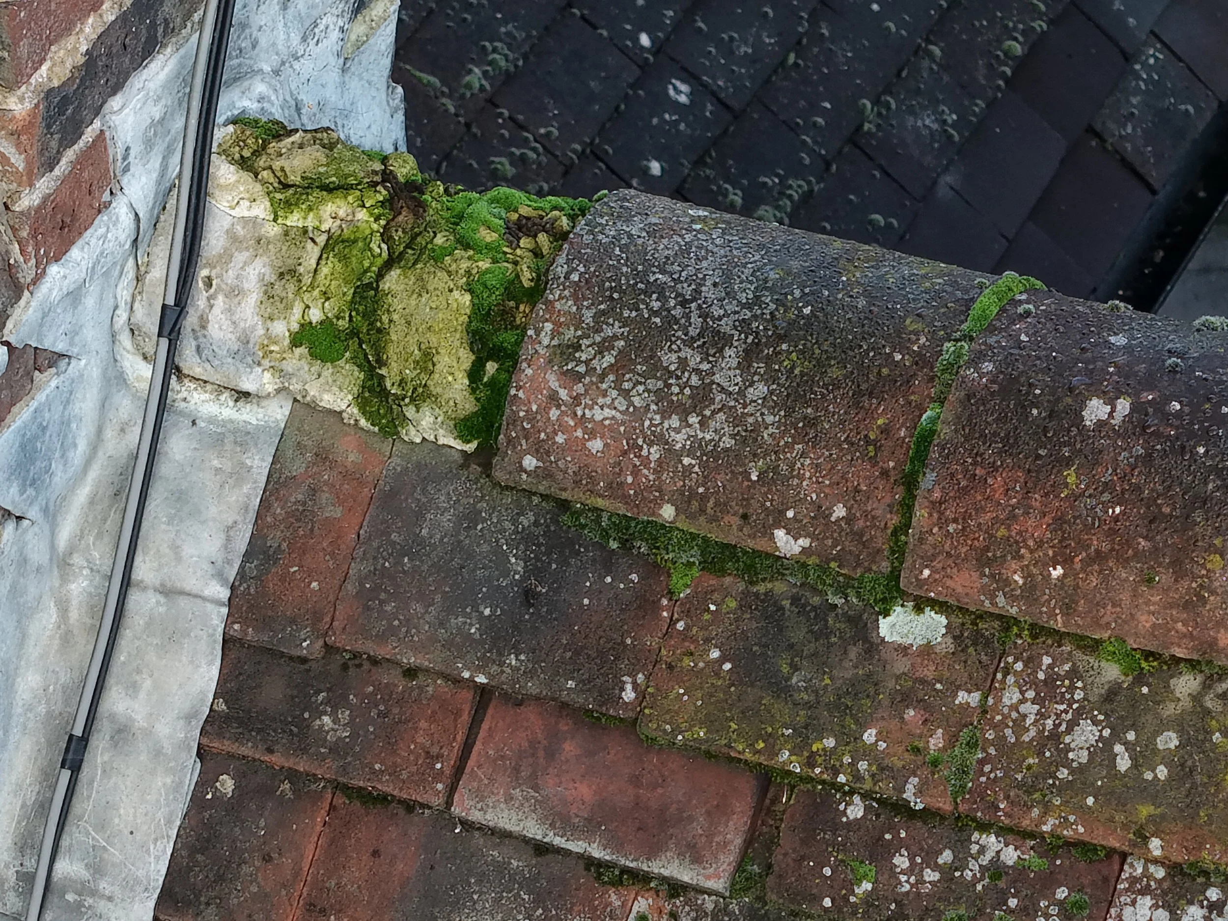 Close-up of a weathered brick chimney with green moss and lichen growing on the bricks and mortar captured during a property drone survey inspection.