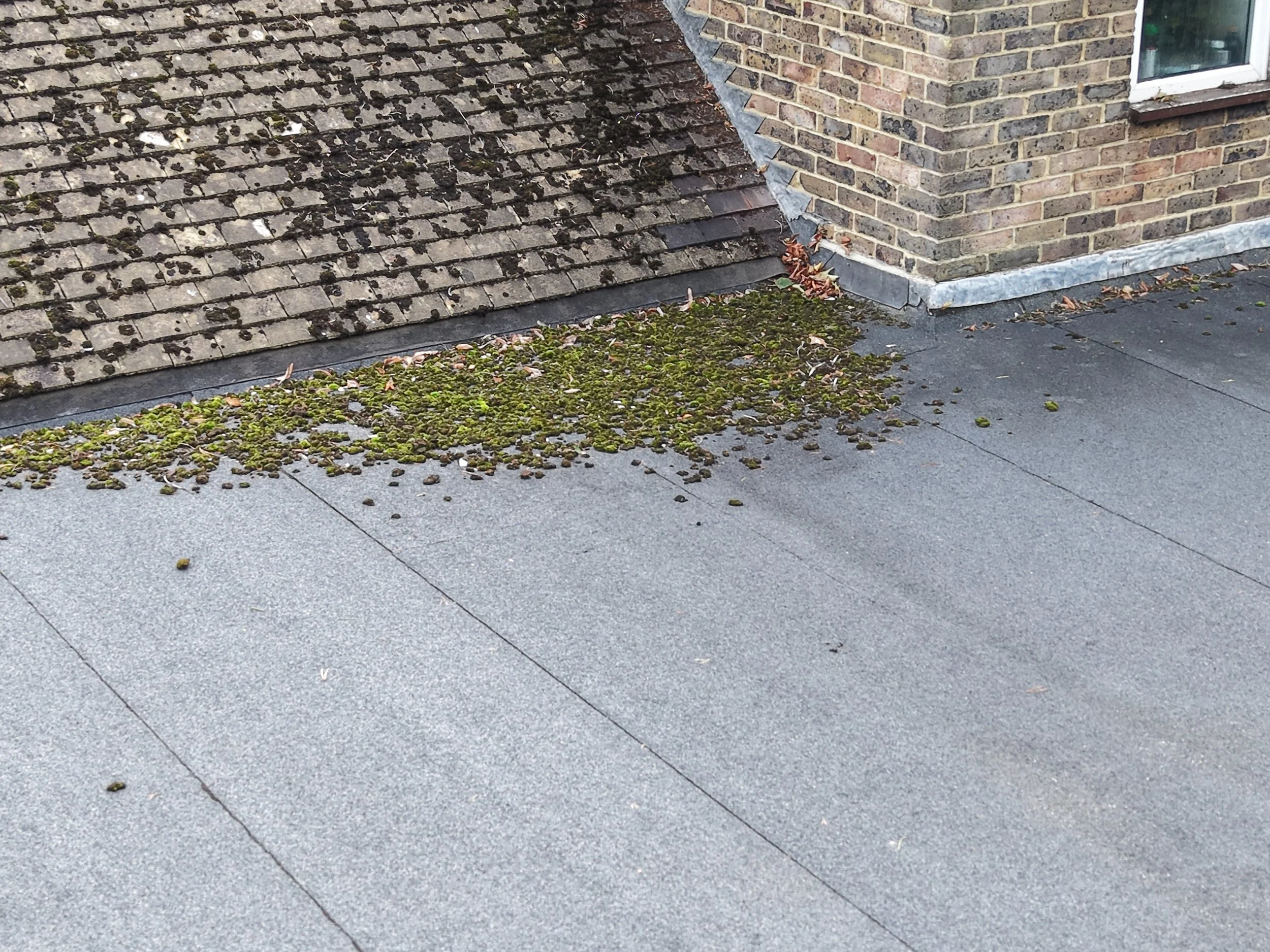 Moss and dirt on a rooftop captured during a property drone survey inspection