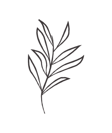 Simple line drawing of a plant with multiple leaves on a stem.