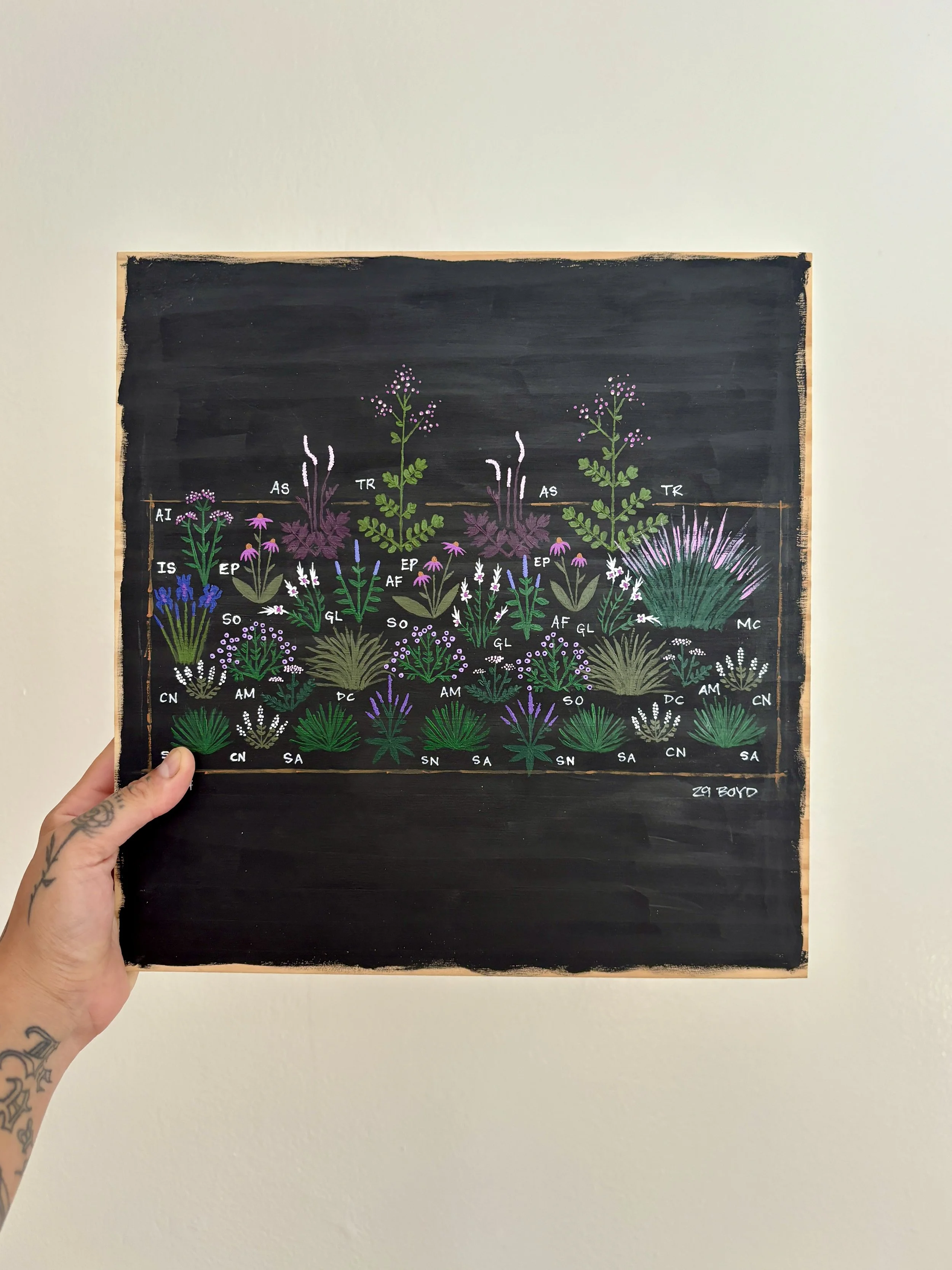 Hand holding a framed chalkboard botanical illustration with labeled plants, against a plain white wall background.