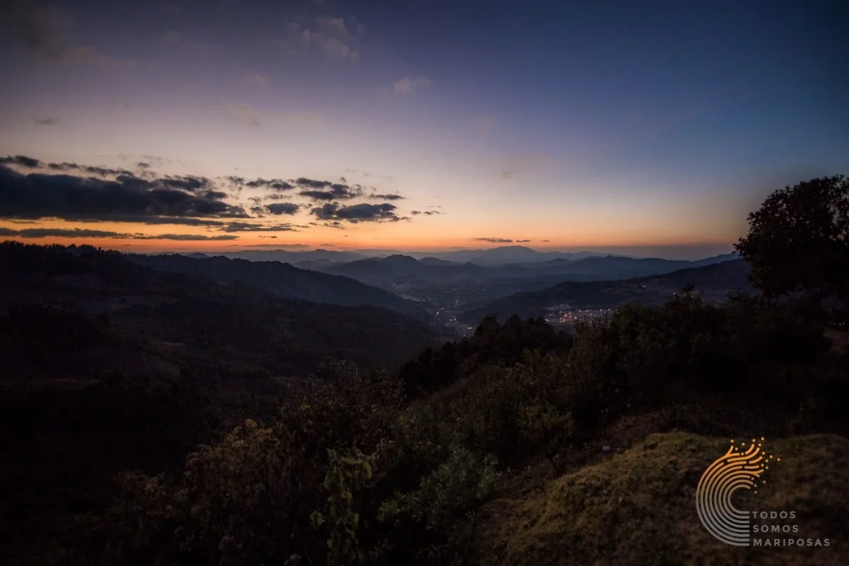 view from the monarch butterfly sanctuary El rosario in Michoacan, Mexico.