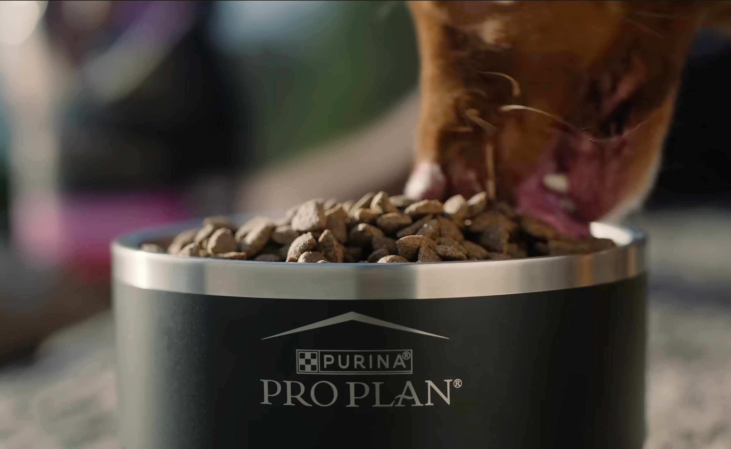 Purina Pro Plan

