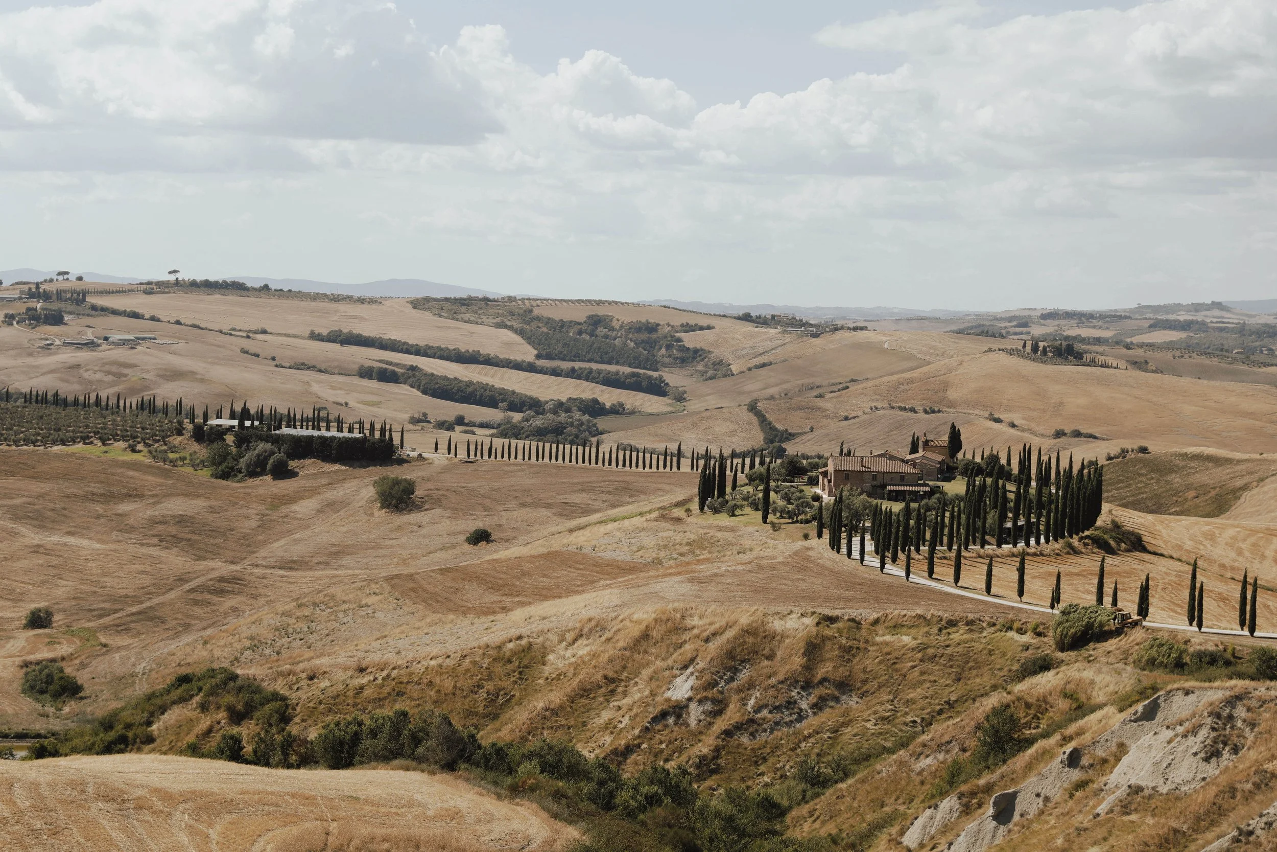 Rolling hills with dry, golden grass and scattered trees, including a line of tall cypress trees lining a road leading to a farmhouse.