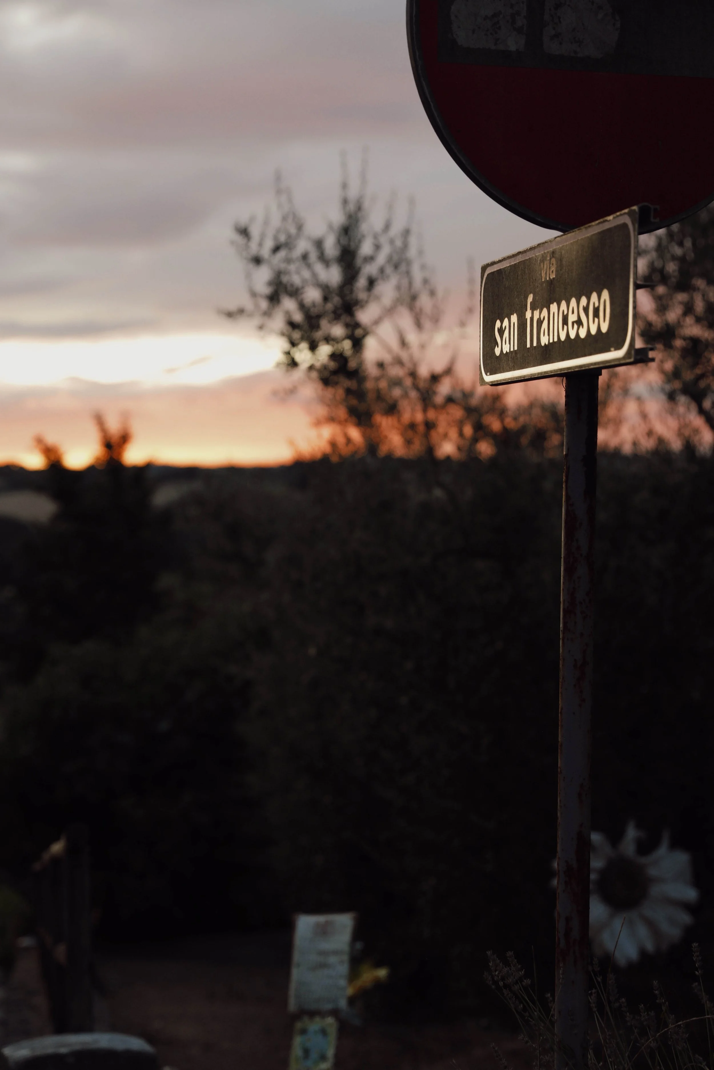 © Collegium Vocale Gent, Photography by Pablo Menjibar