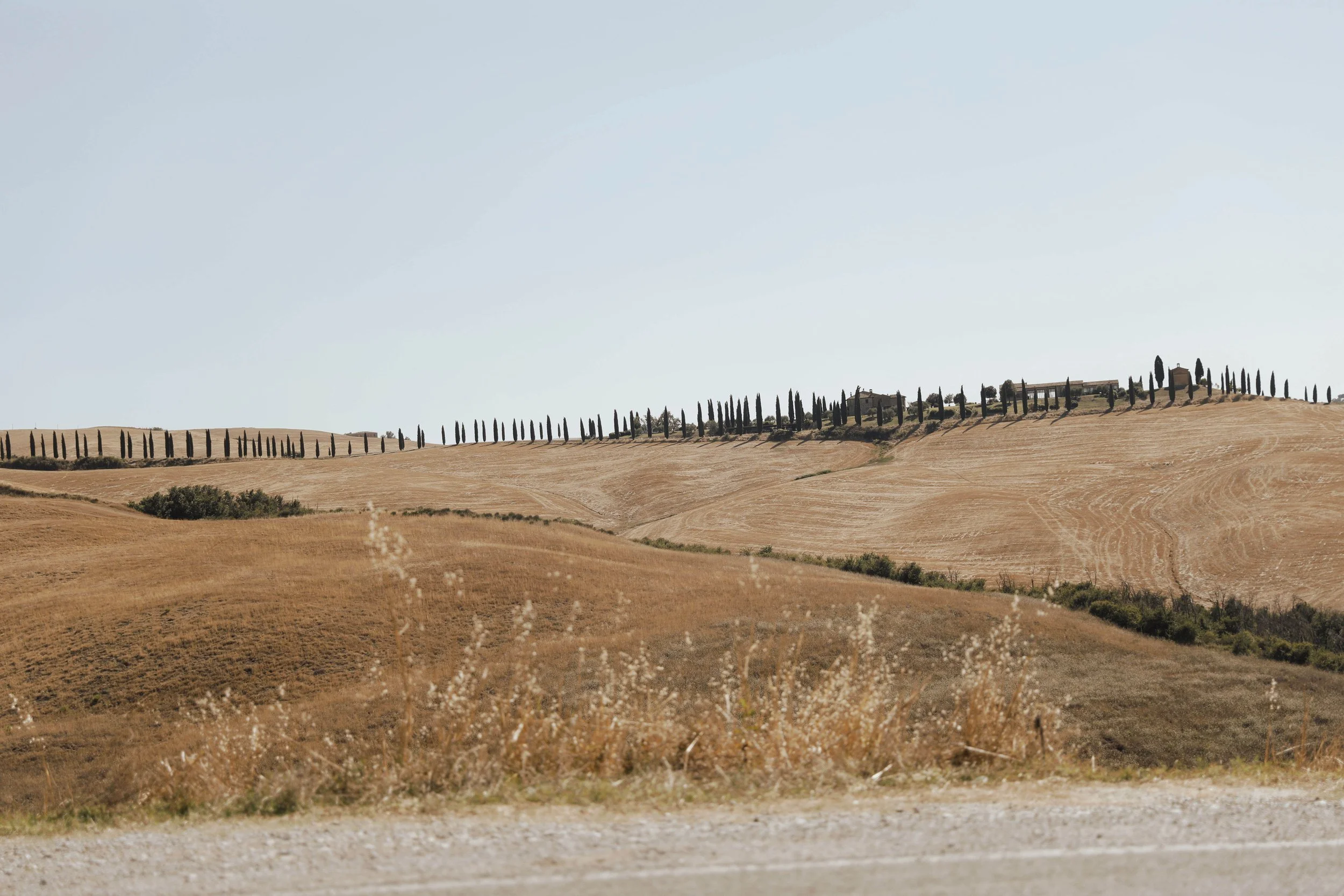 © Collegium Vocale Gent, Photography by Pablo Menjibar