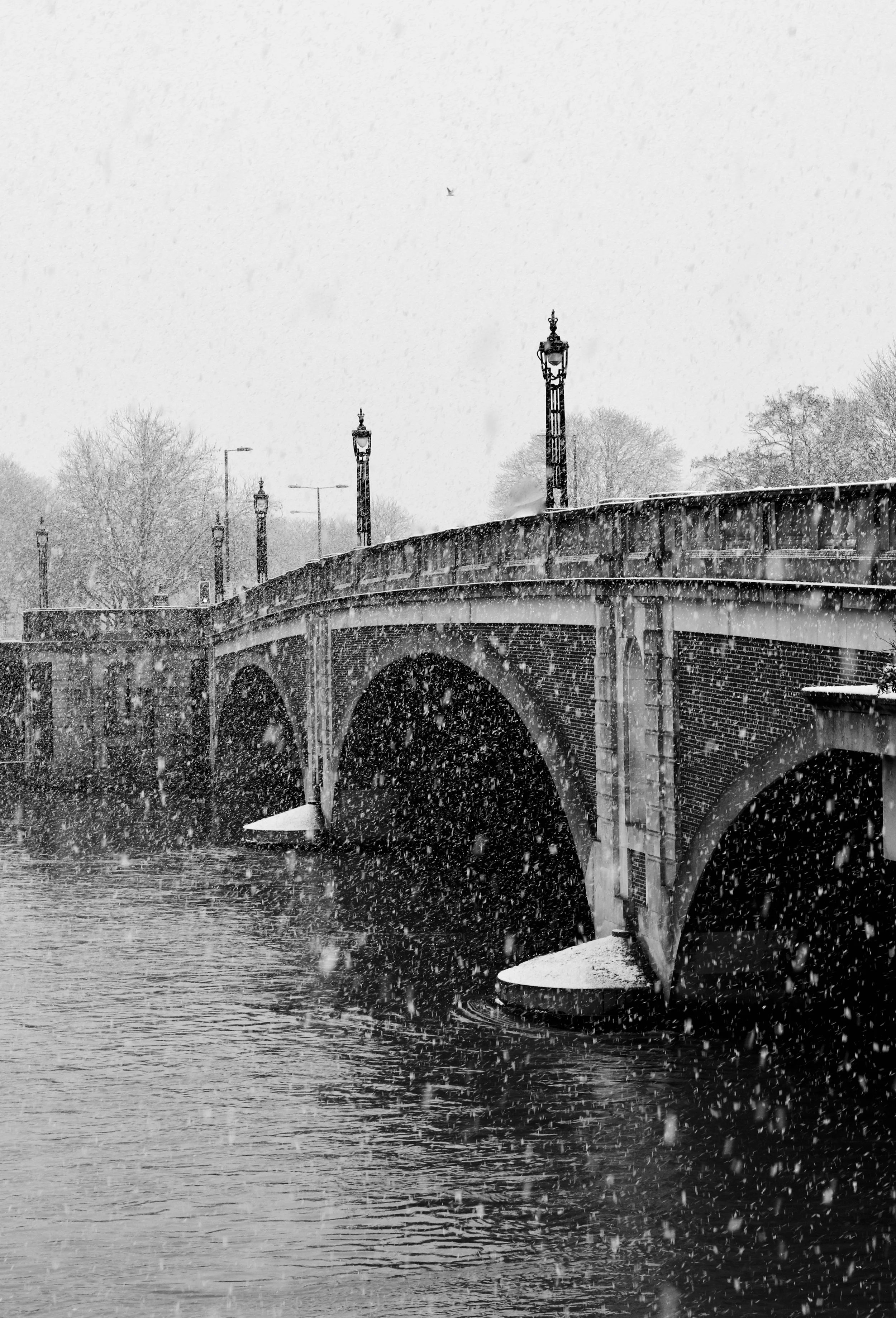 Crossing ~ Hampton Court Bridge Snow