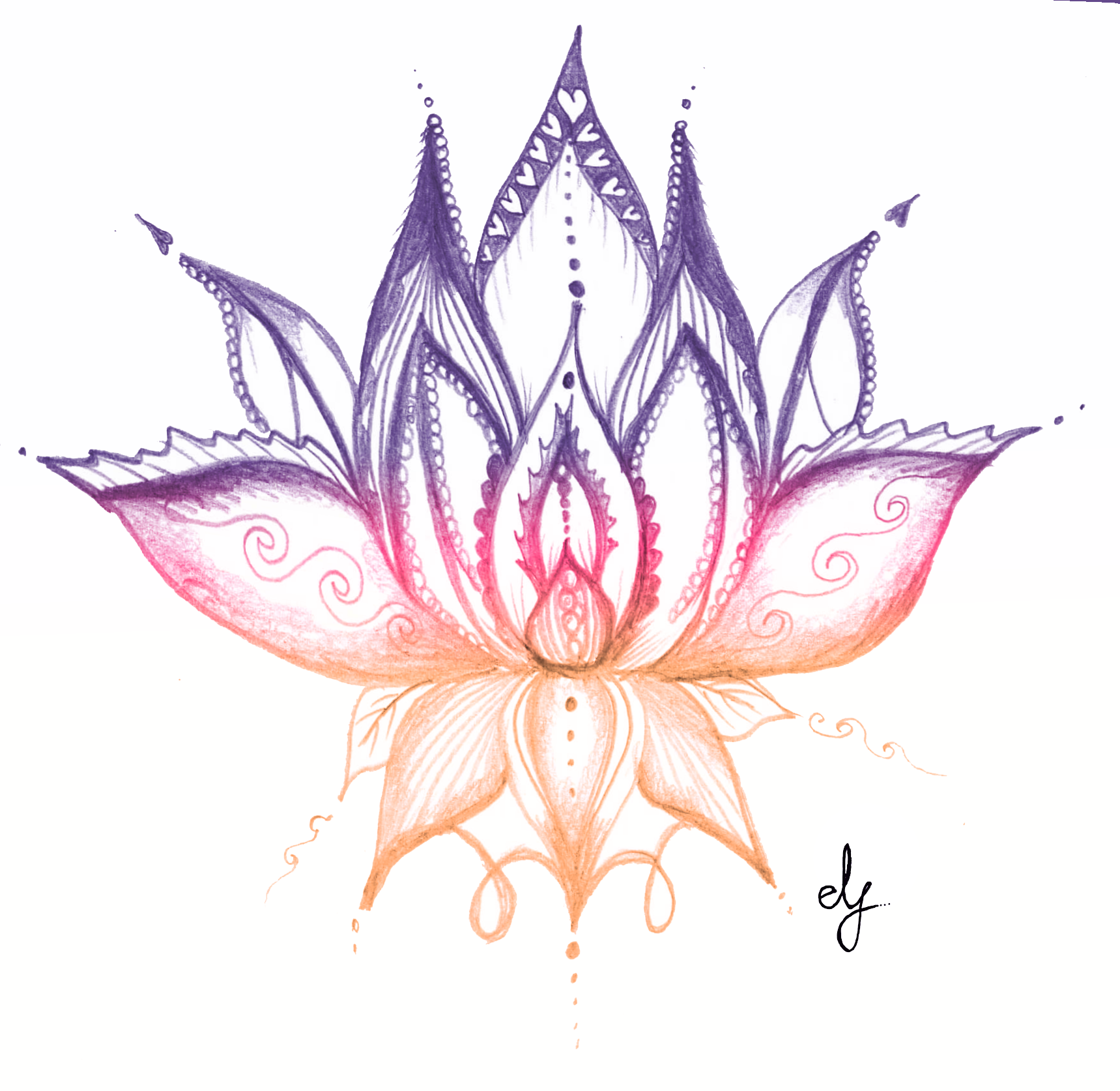 Lotus (Colour)