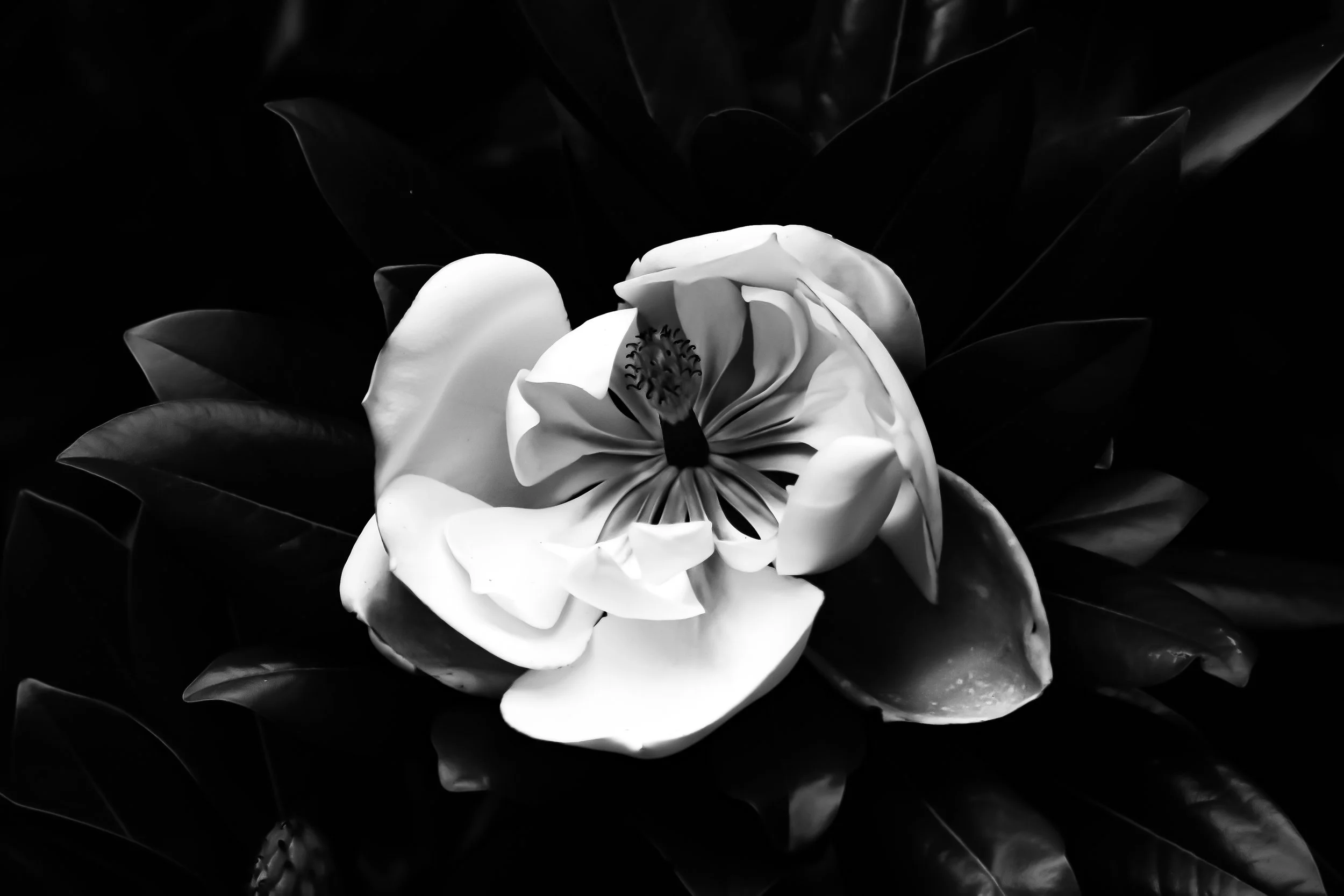 In Quiet Light