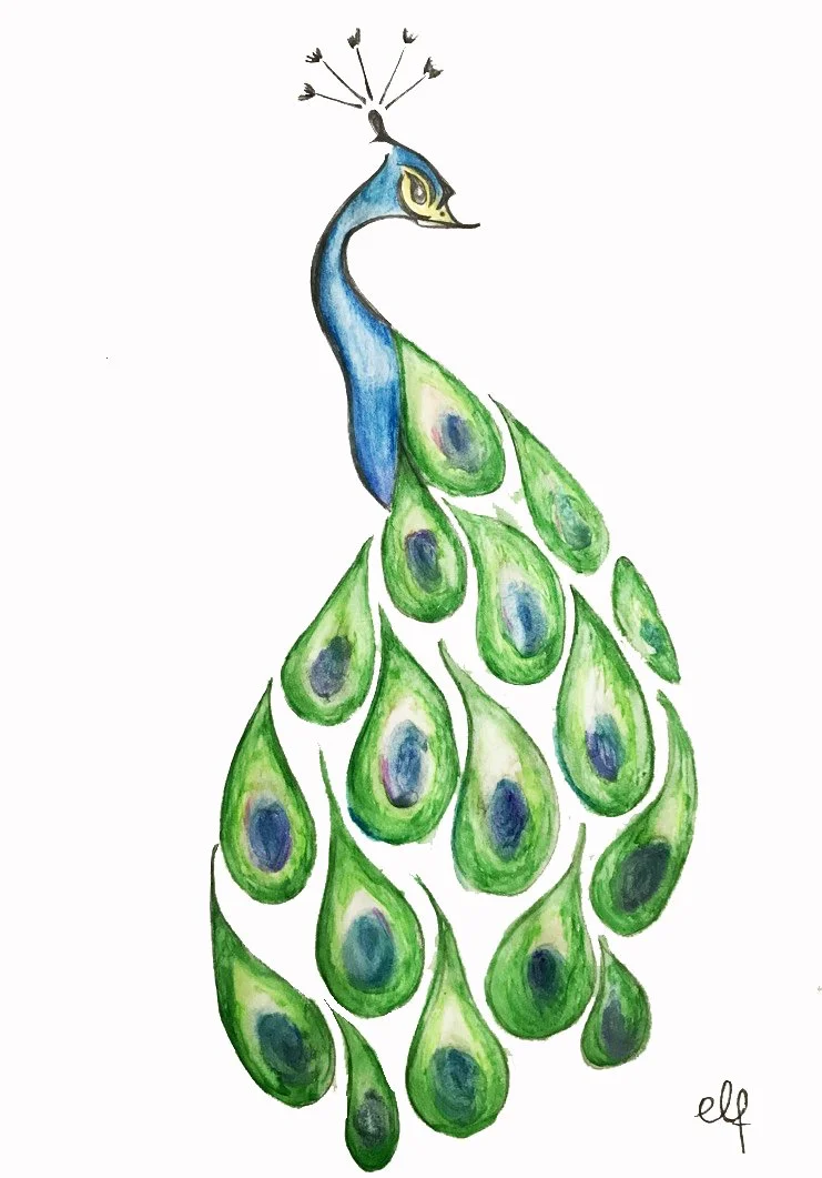 Peacock (Water colour pencils)